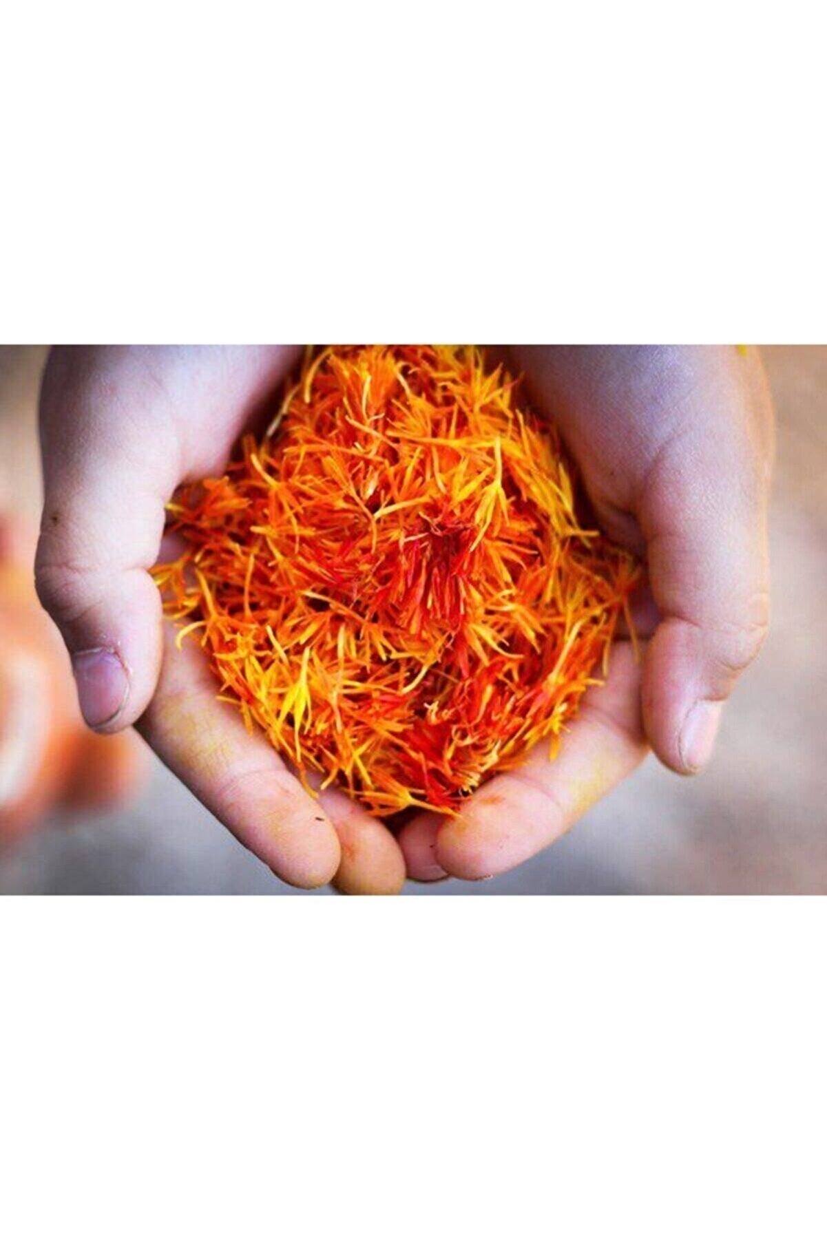 Safran Çi̇çeği̇ Soğanı 10 Adet Orji̇nal Mi̇s Kokulu Soğan Ev Bahçe Içi̇n Ideal