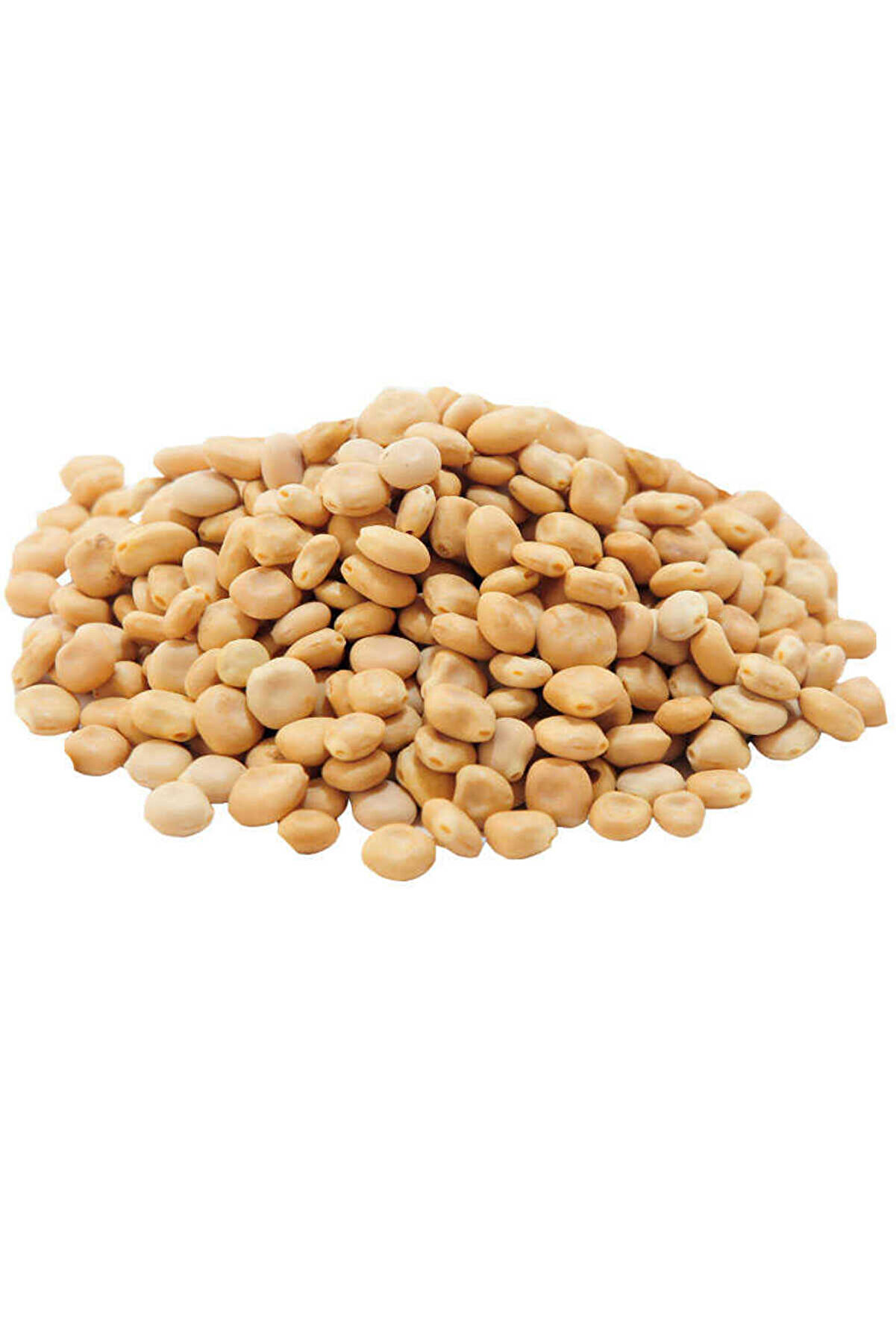 Bi̇lfold Acı Bakla Tohumu Yahudi̇ Baklası Doğal 1000 Gr Paket