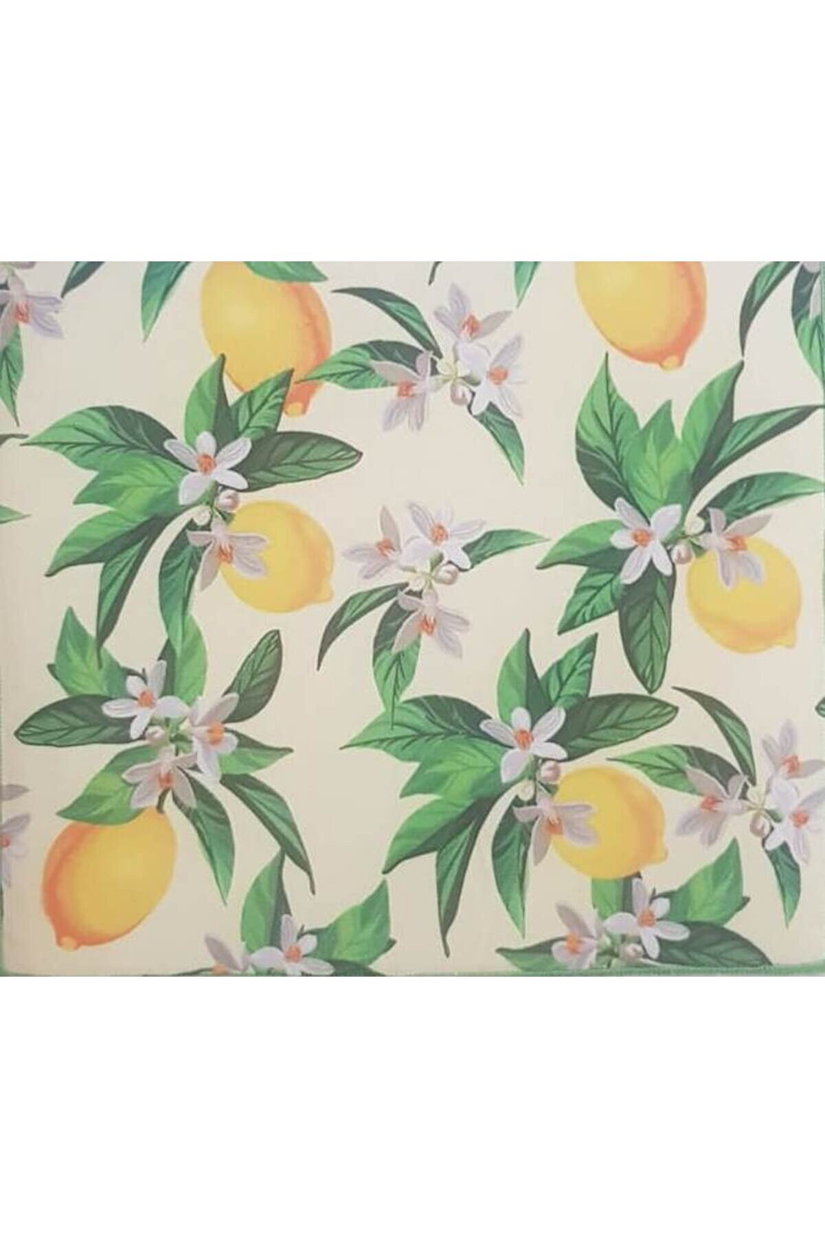 Ethab Ti̇caret 10 Adet Kurutmalık Mi̇krofi̇ber Kurutma Bulaşık Tezgah Altlığı