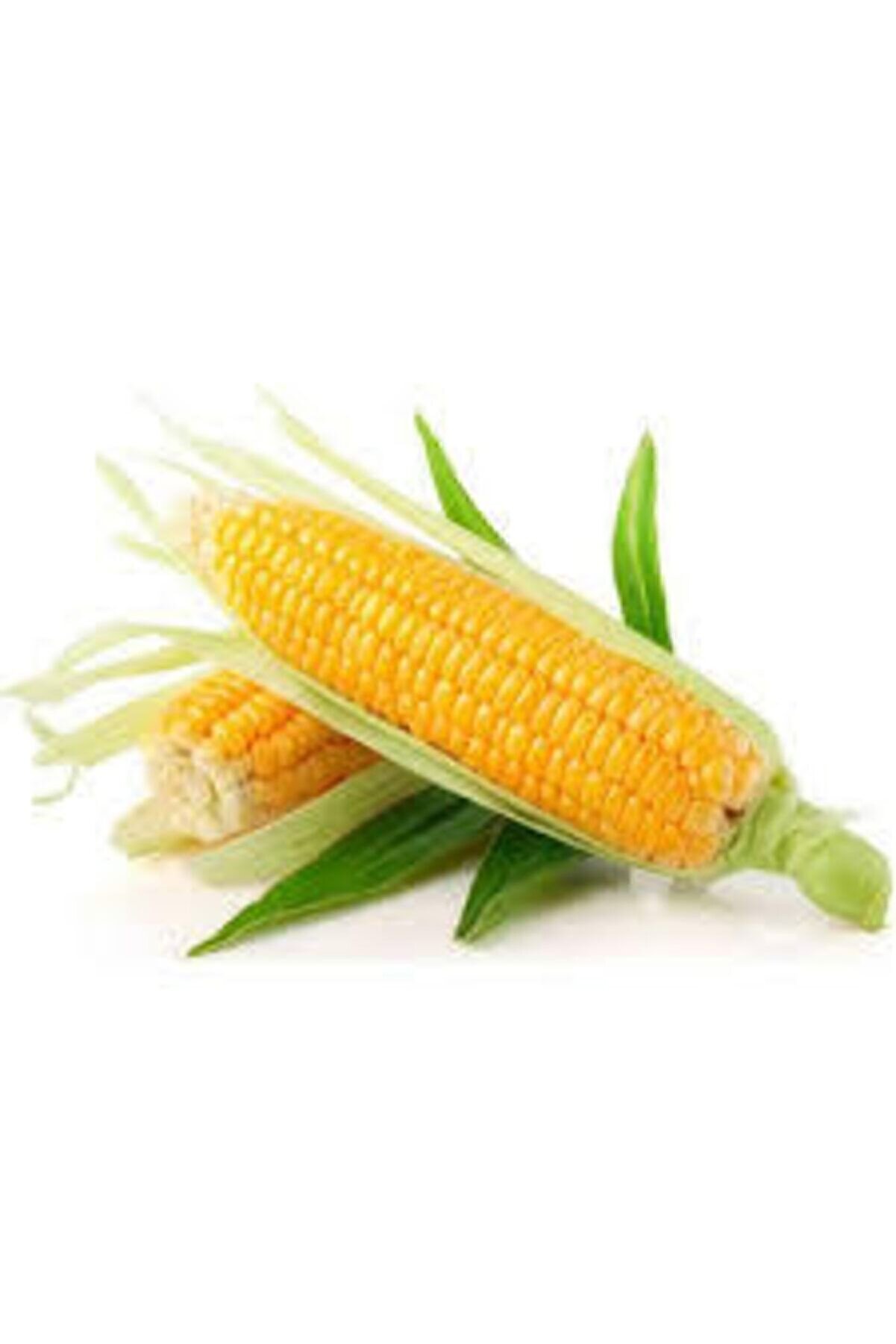 ata tohumculuk 100 Adet Tohum Eko Paket Süt Mısırsüt Mısır Tohumu Darı Tohumu Mısır Tohumu