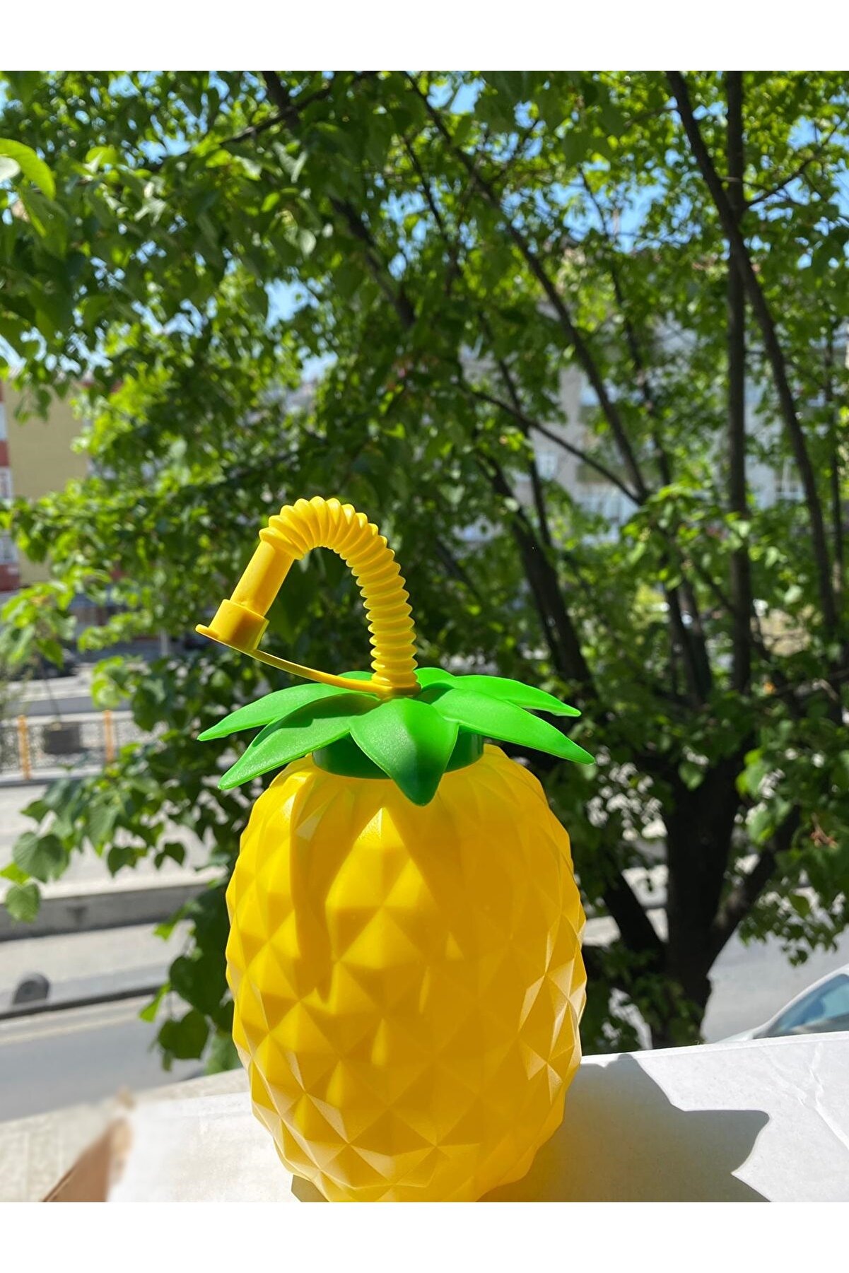 Ethab Ti̇caret Ananas Pi̇petli̇ Suluk