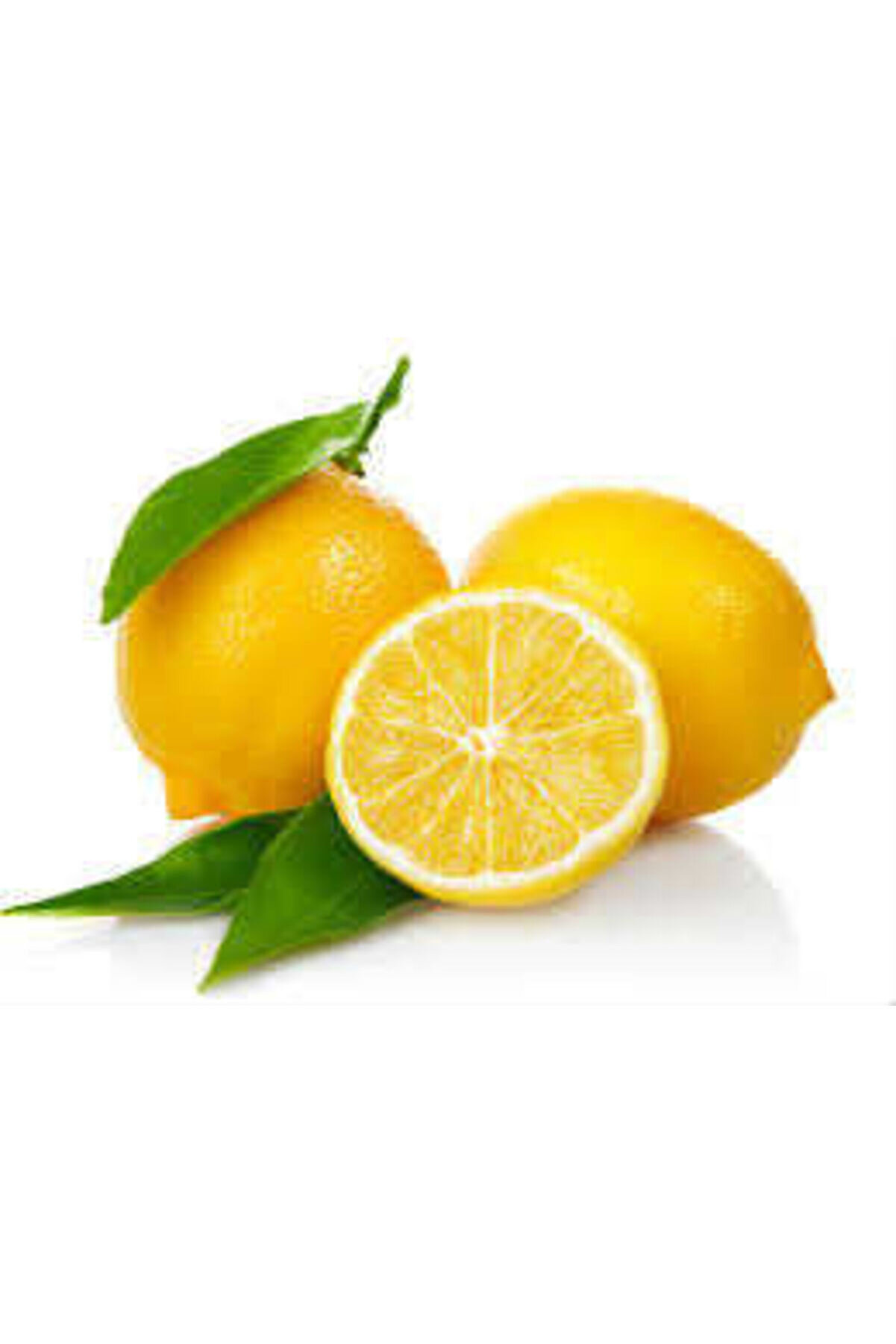 Ethab Ti̇caret Li̇mon Bonesi̇ / 250 Adet / &Ccedil;ayı Bonesi̇