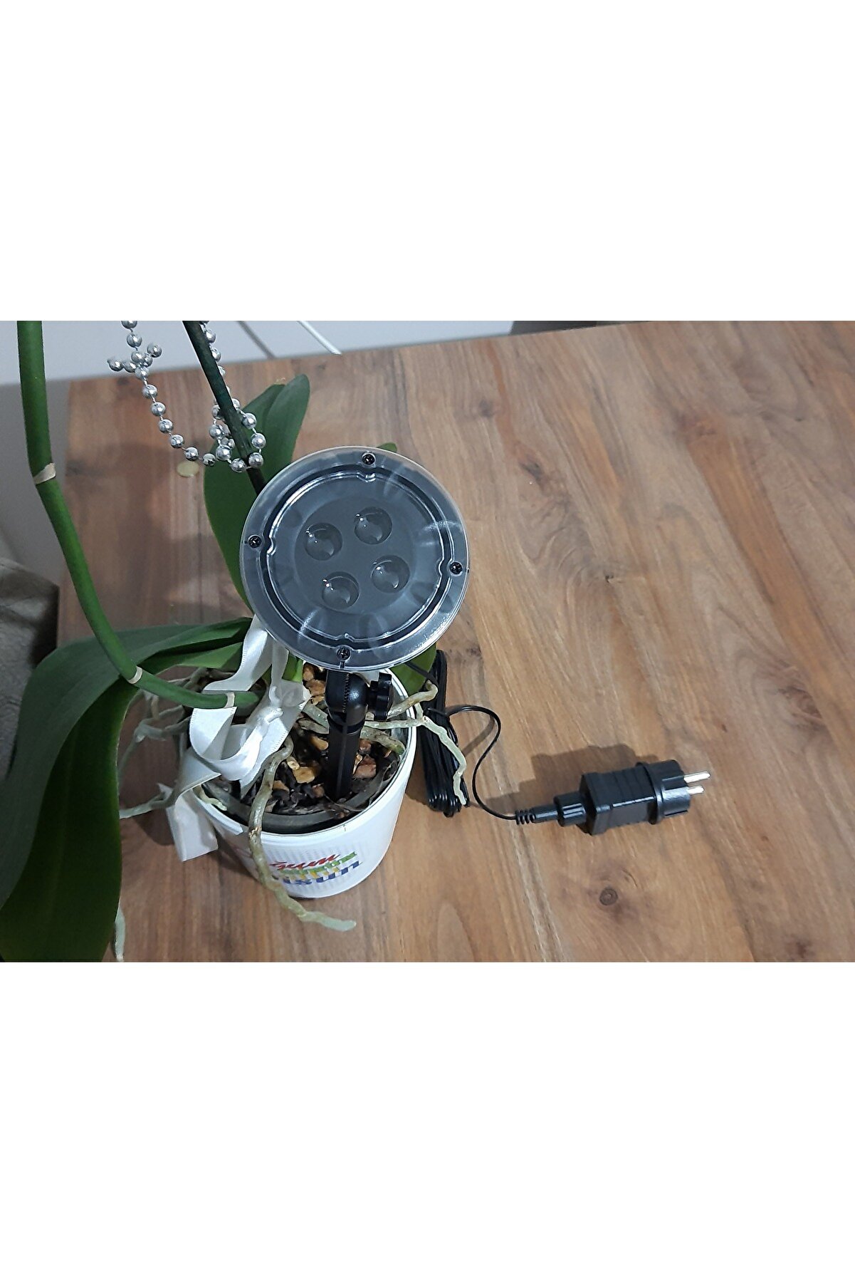 Evvano Tıkla Fırsatları Yakala Peri̇ Led Işık 5 Metre Beyaz Dekor Lambası 50 Ledli̇