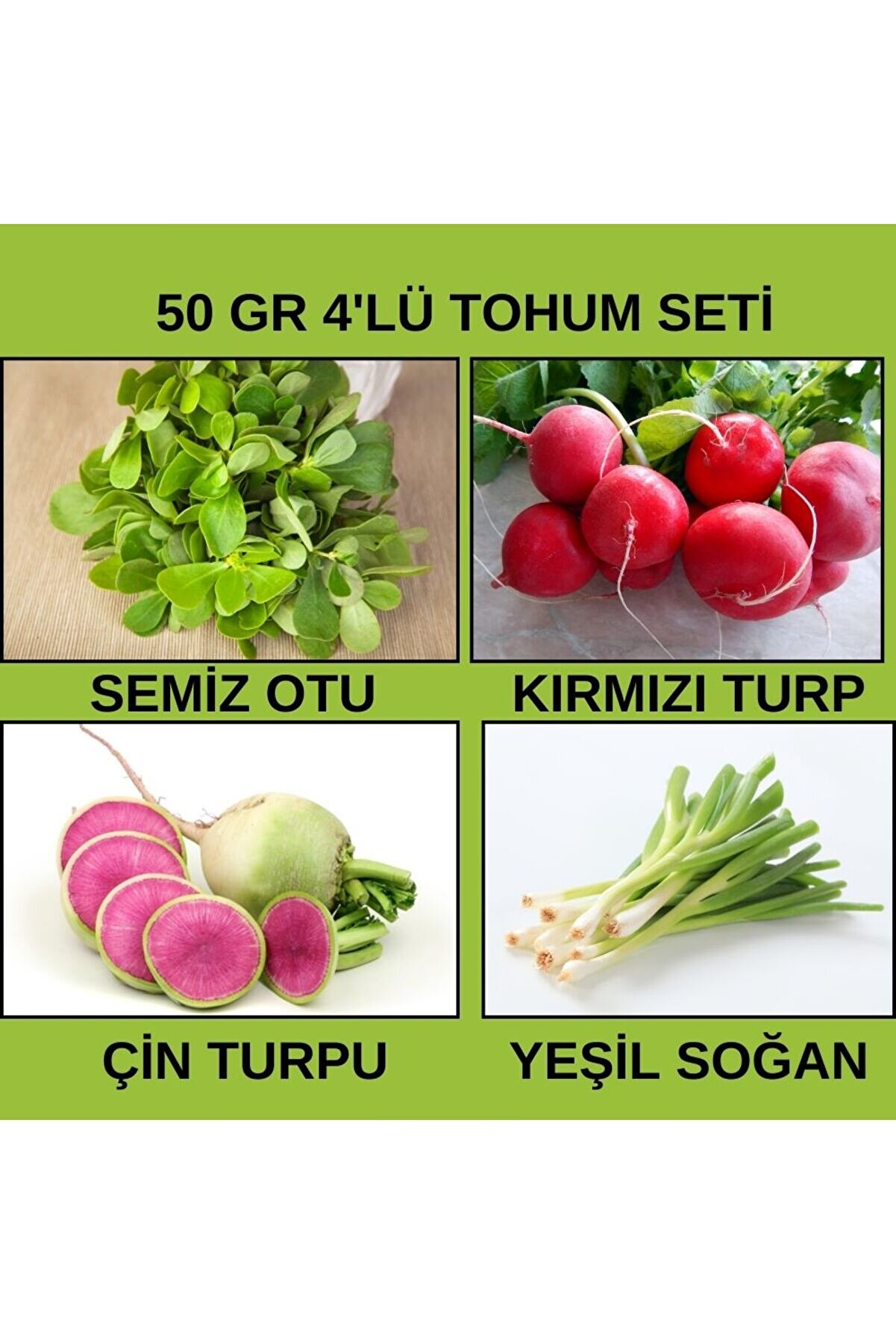 Bade Shop 50 Gr  - 4 Çeşit  Sebze Tohumu (SEMİZ OTU,KIRMIZI TURP,YEŞİL SOĞAN,ÇİN TURPU)