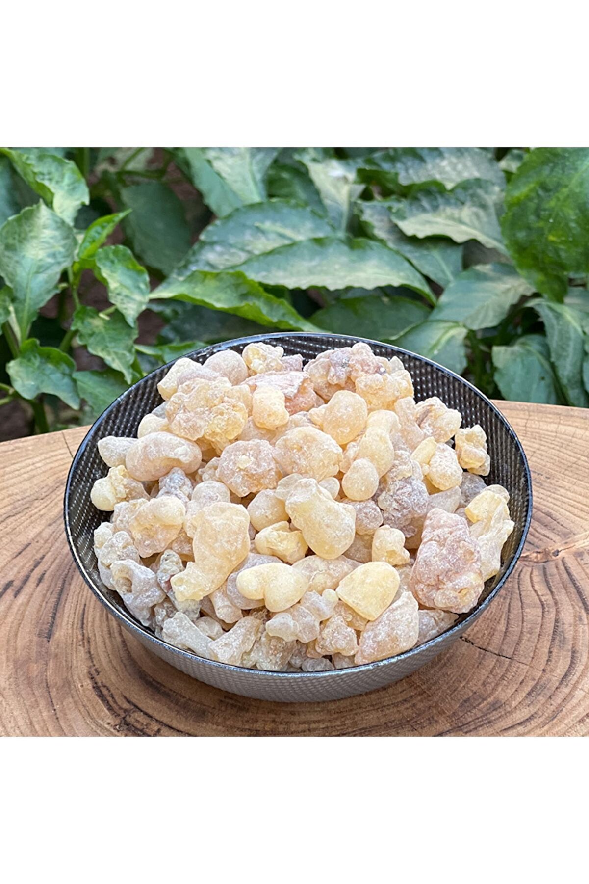 %100 Doğal Akgünlük Sakızı Sığla Ağacı Reçi̇nesi̇ Günlük Bi̇tki̇si̇ Bahur (Buhur) Reçi̇ne 100 Gr