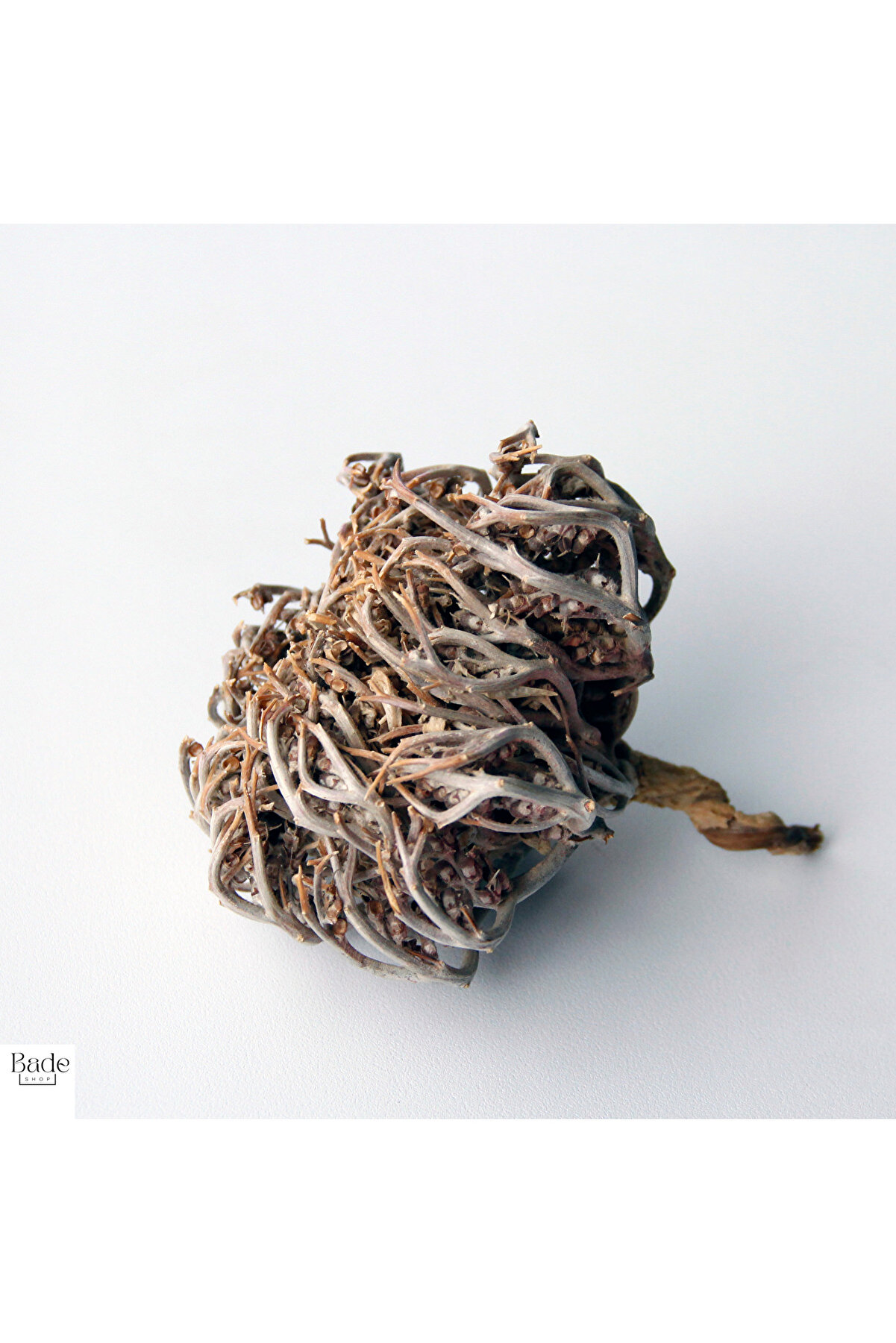 Bade Shop 1 Adet Meryem (MERYAM) Ana Eli Otu - Fatma Ana Eli Otu (ANASTATİCA HİEROCHUNTİCA) Kolay Doğum Için