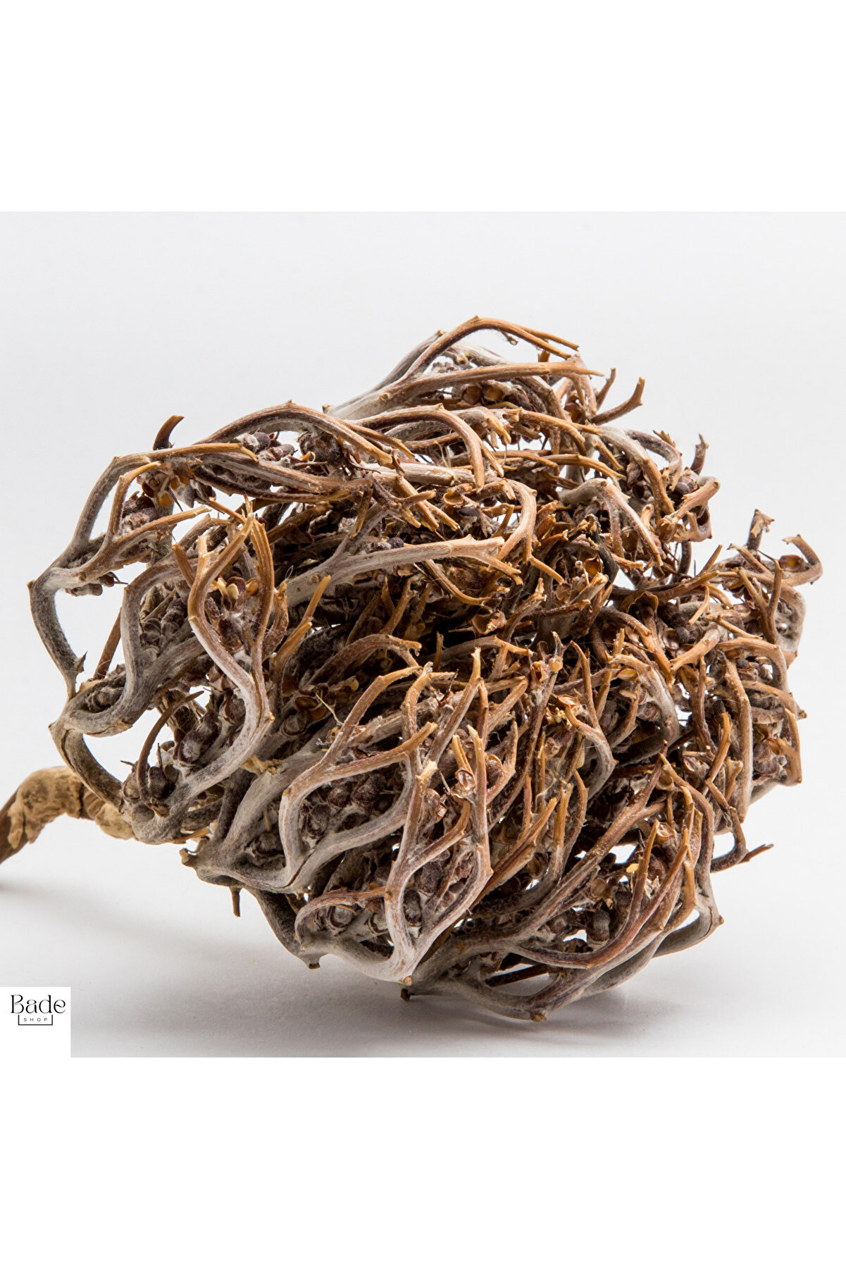 1 Adet Meryem (Meryam) Ana Eli̇ Otu - Fatma Ana Eli̇ Otu (Anastati̇ca Hi̇erochunti̇ca) Kolay Doğum Içi̇n