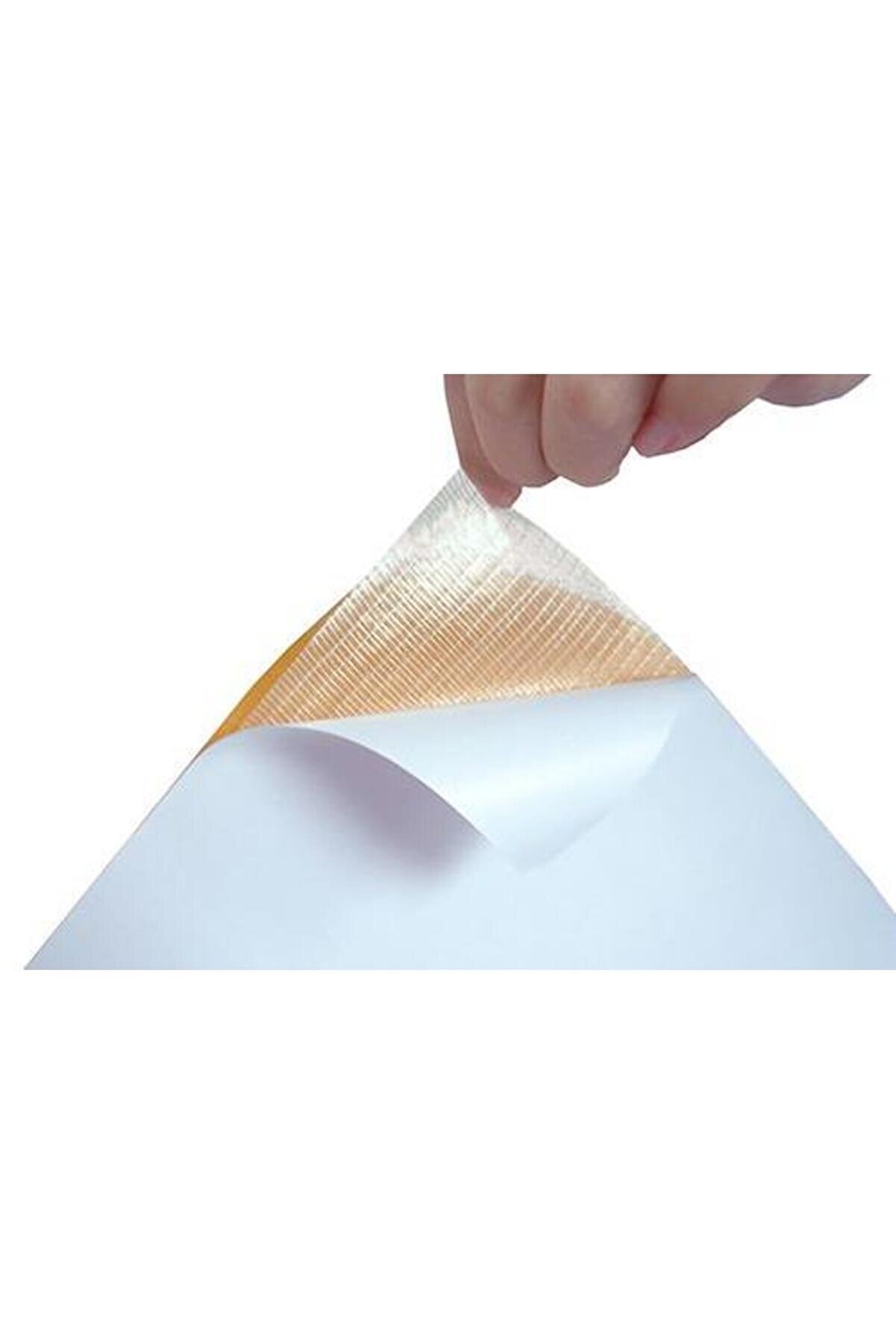 evimdeyokyok Ağ Takviyeli Çift Taraflı Bant 100cm X 10mt (10M2) Tdrtr