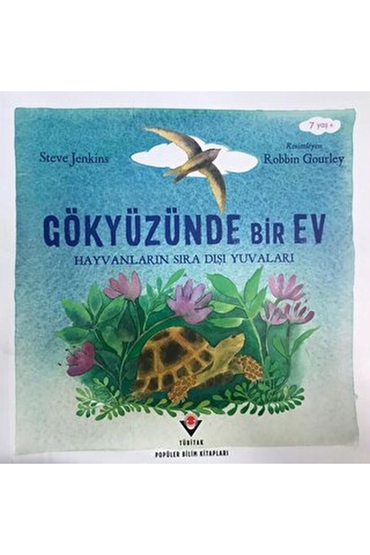 Yedi̇tepe Yayınevi̇ G&ouml;ky&uuml;z&uuml;nde Bi̇r Ev Hayvanların Sıra Dışı Yuvaları