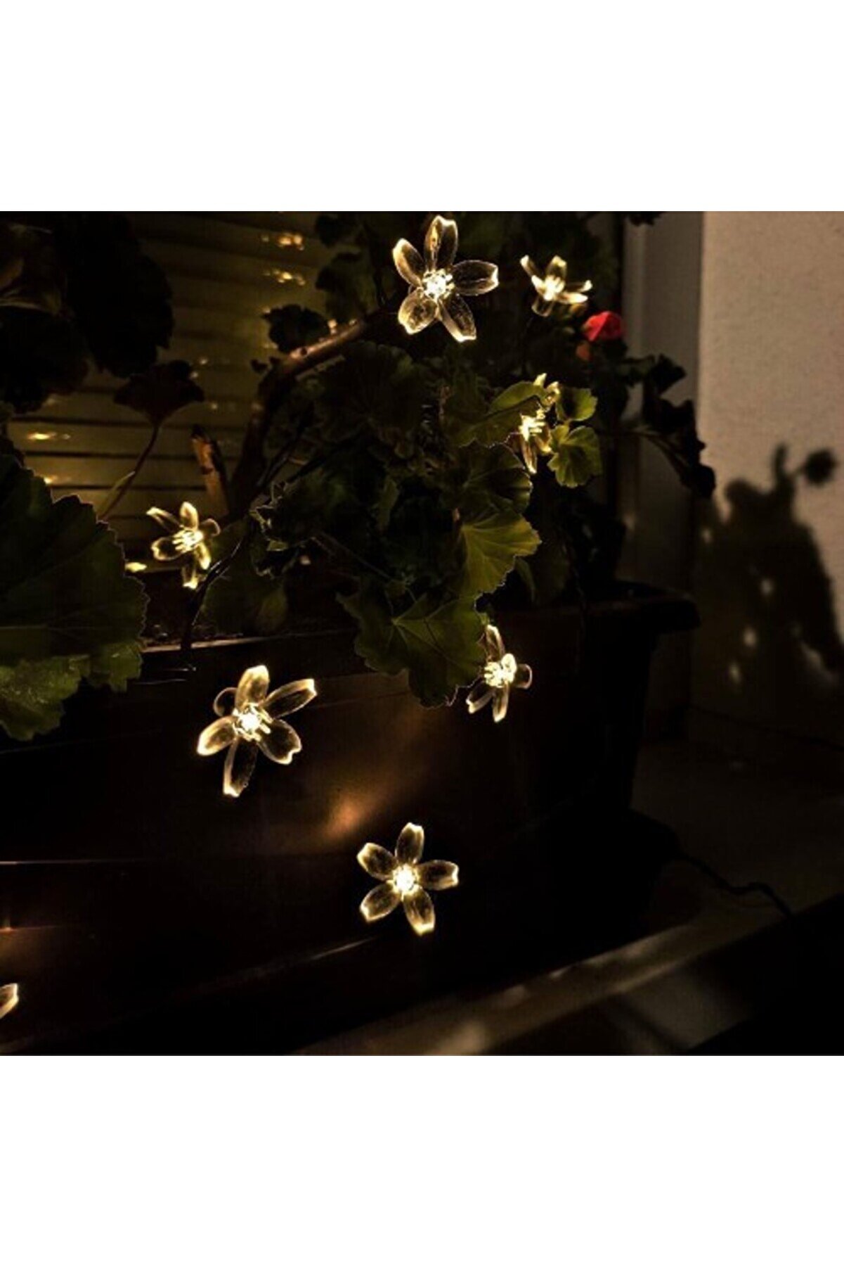 Solar 5M 50 Led Papatya Gün Işığı 8 Fonksi̇yonlu