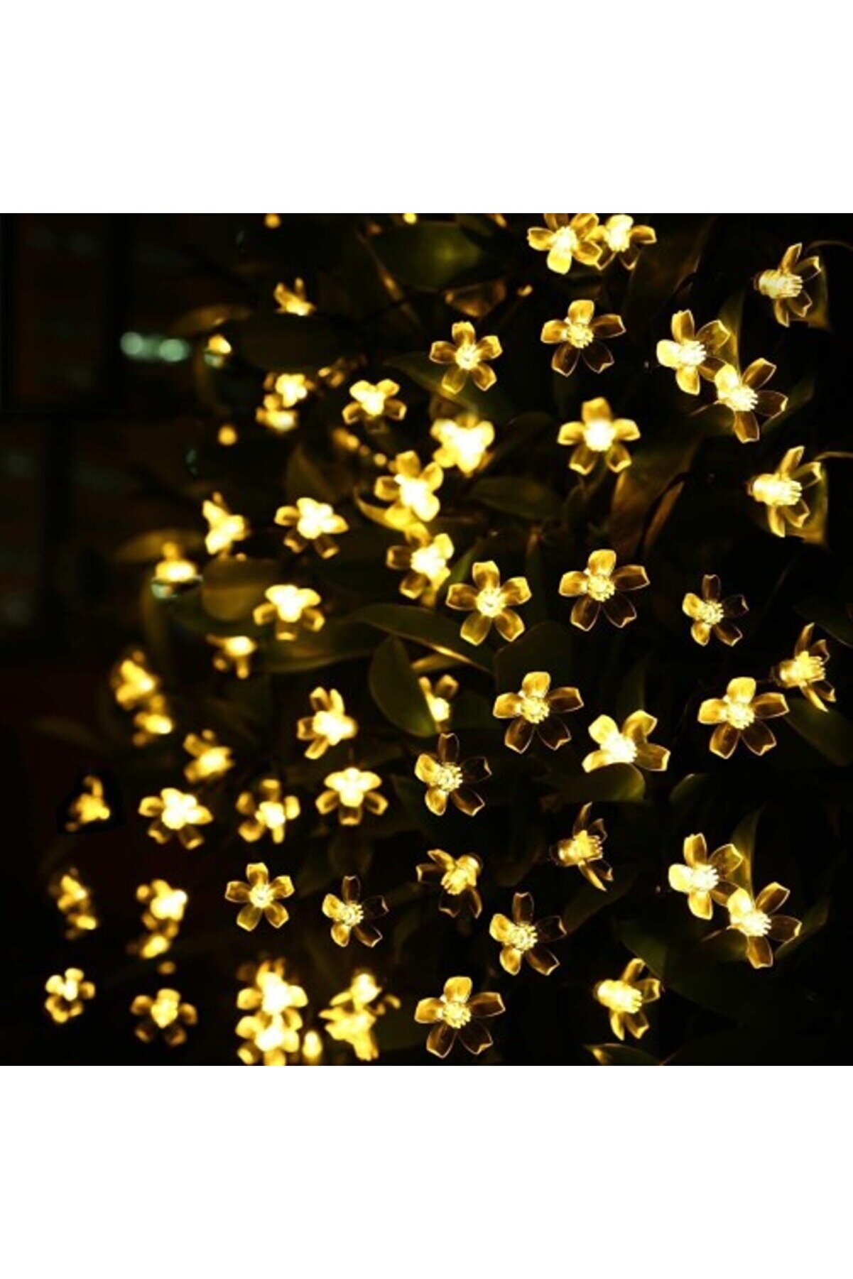 Solar 5M 50 Led Papatya Gün Işığı 8 Fonksi̇yonlu