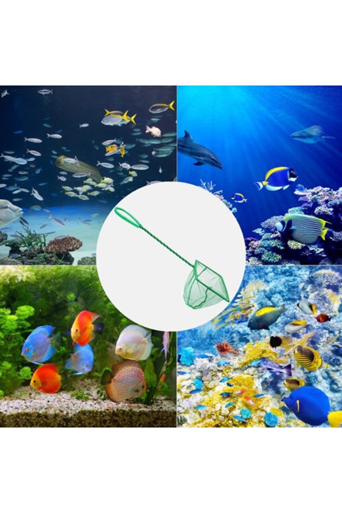 evimdeyokyok Akvaryum Balık Kepçesi 7,5 CM