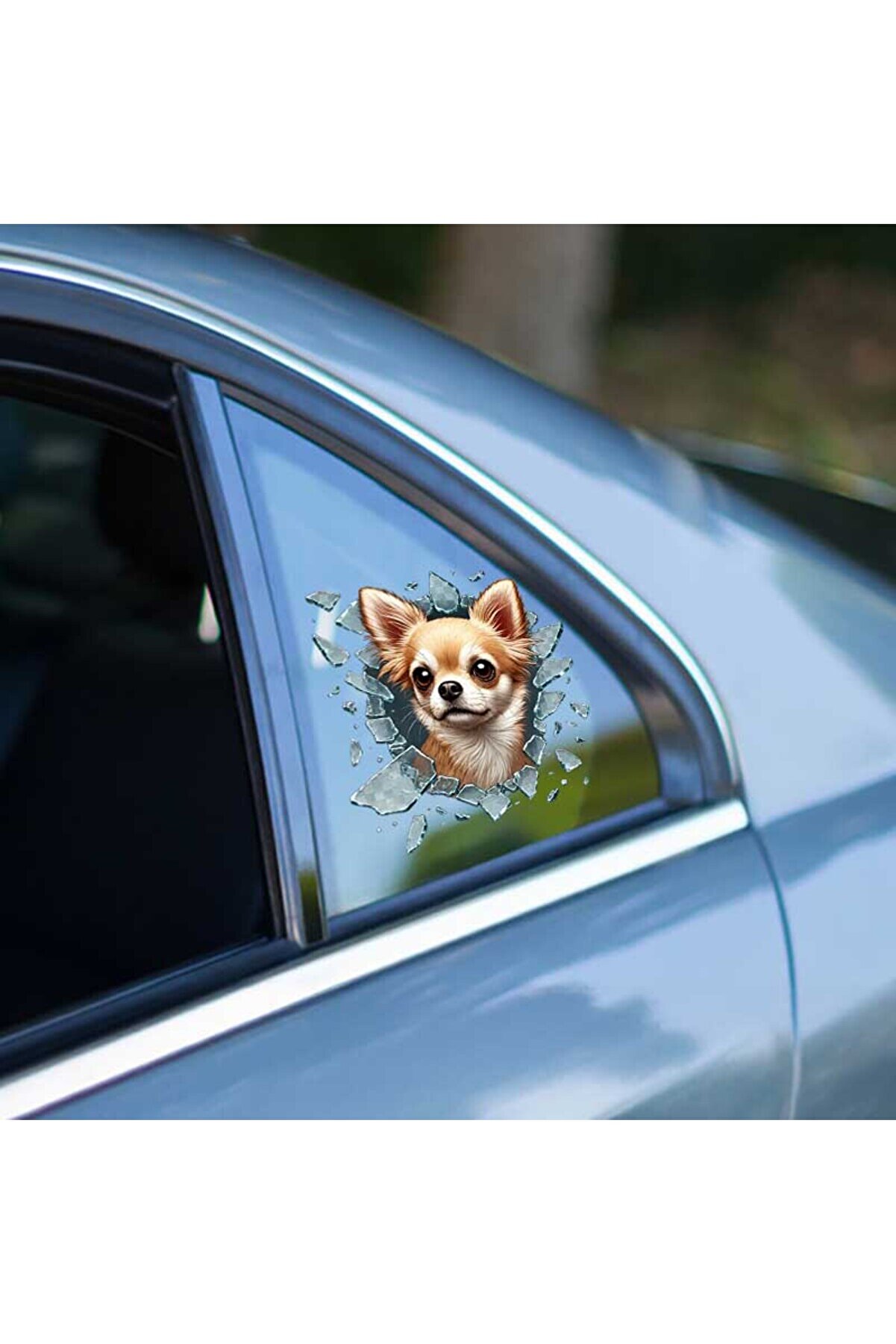 Ethab Ti̇caret Fulcar Chi̇uahua Ara&ccedil; Sti̇ckerı