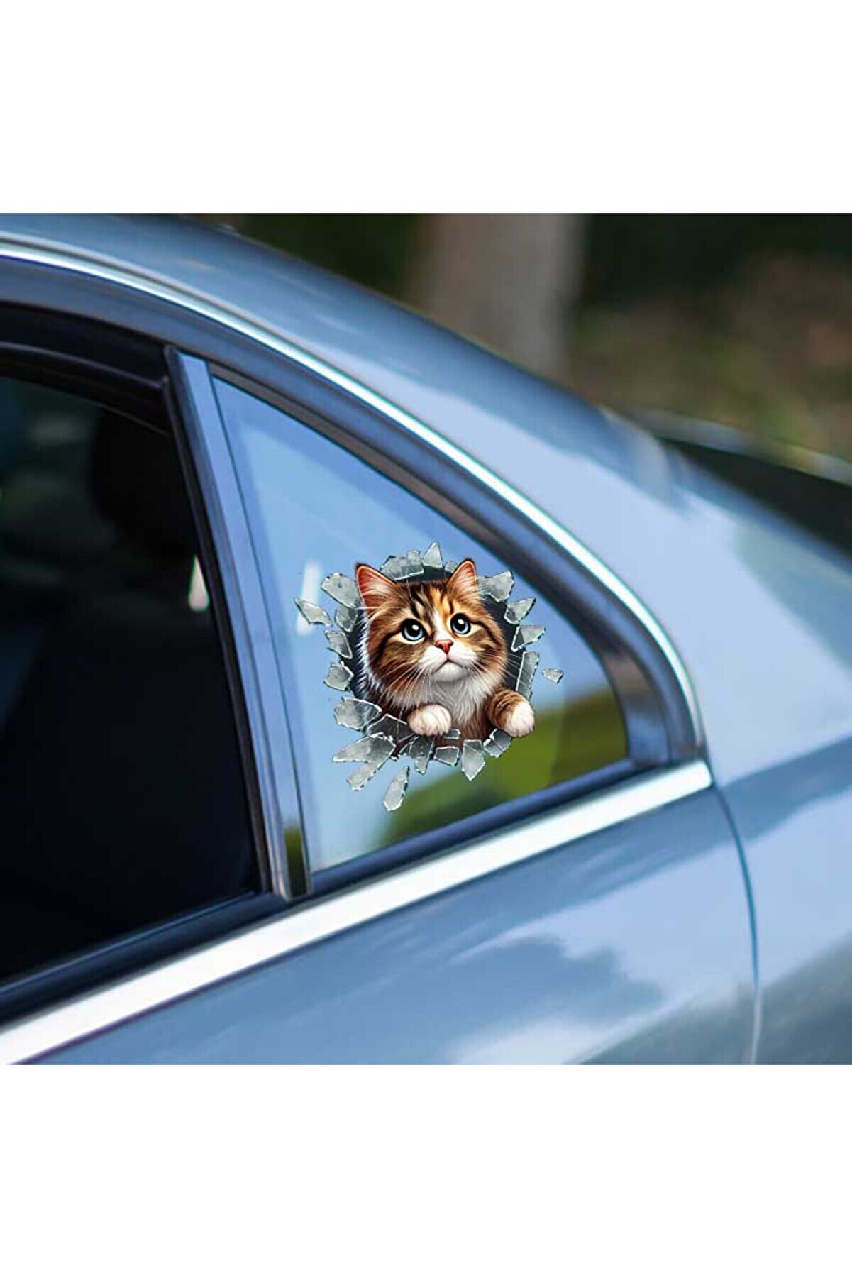 Ethab Ti̇caret Fulcar Stray Ara&ccedil; Sti̇ckerı