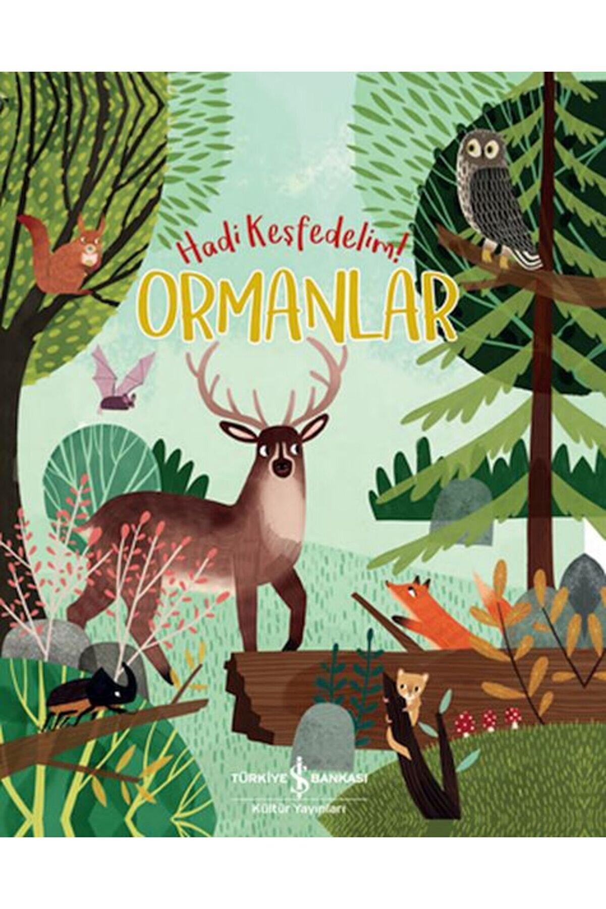 T&uuml;rki̇ye İş Bankası K&uuml;lt&uuml;r Yayınları Ormanlar Hadi̇ Keşfedeli̇m