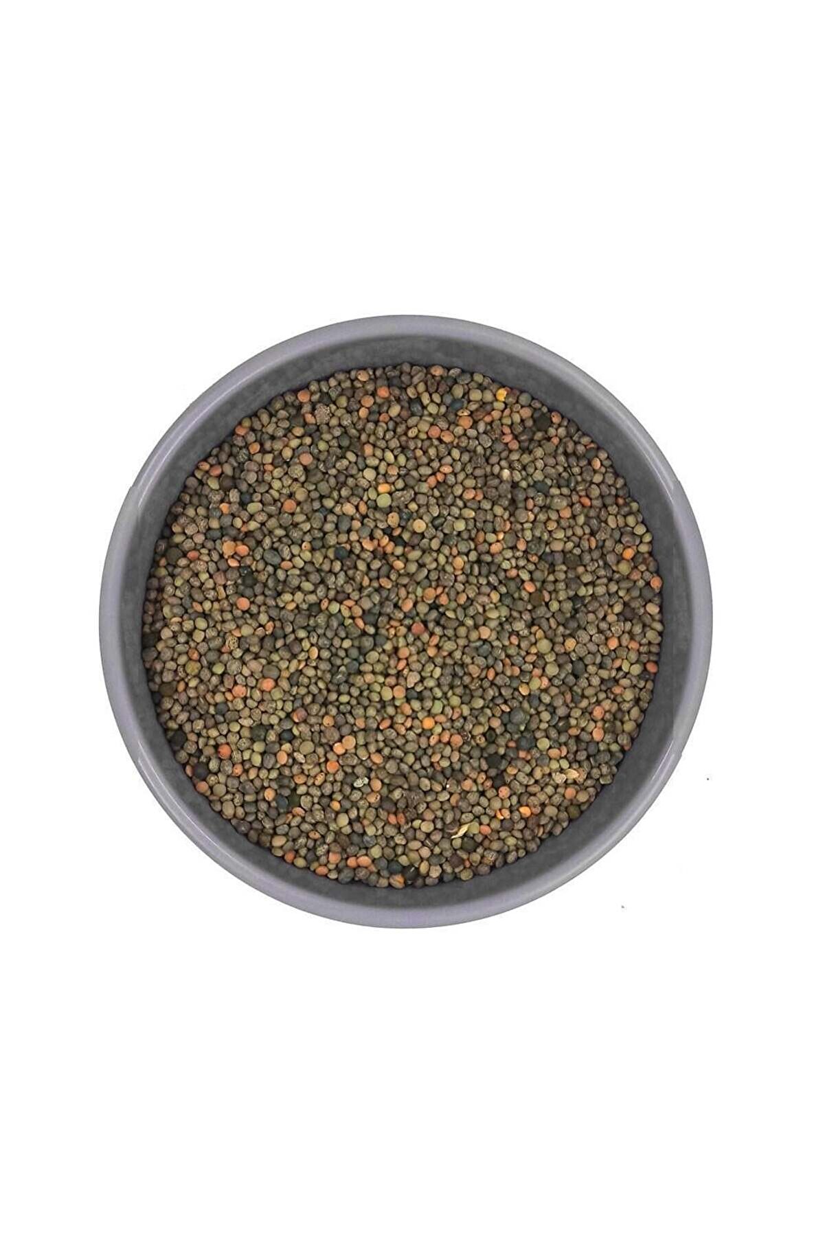 Bade Shop Fiğ Tohumu 100 gr