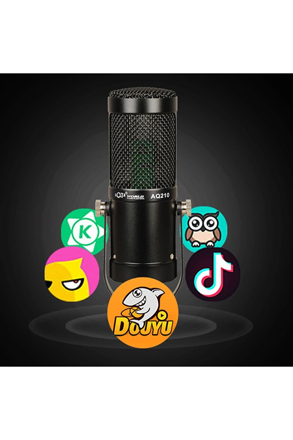 Aq210 Condenser Stüdyo Profesyonel Kayıt Ve Yayın Mi̇krofonu Studi̇o-(5775) - Gms3963-9185