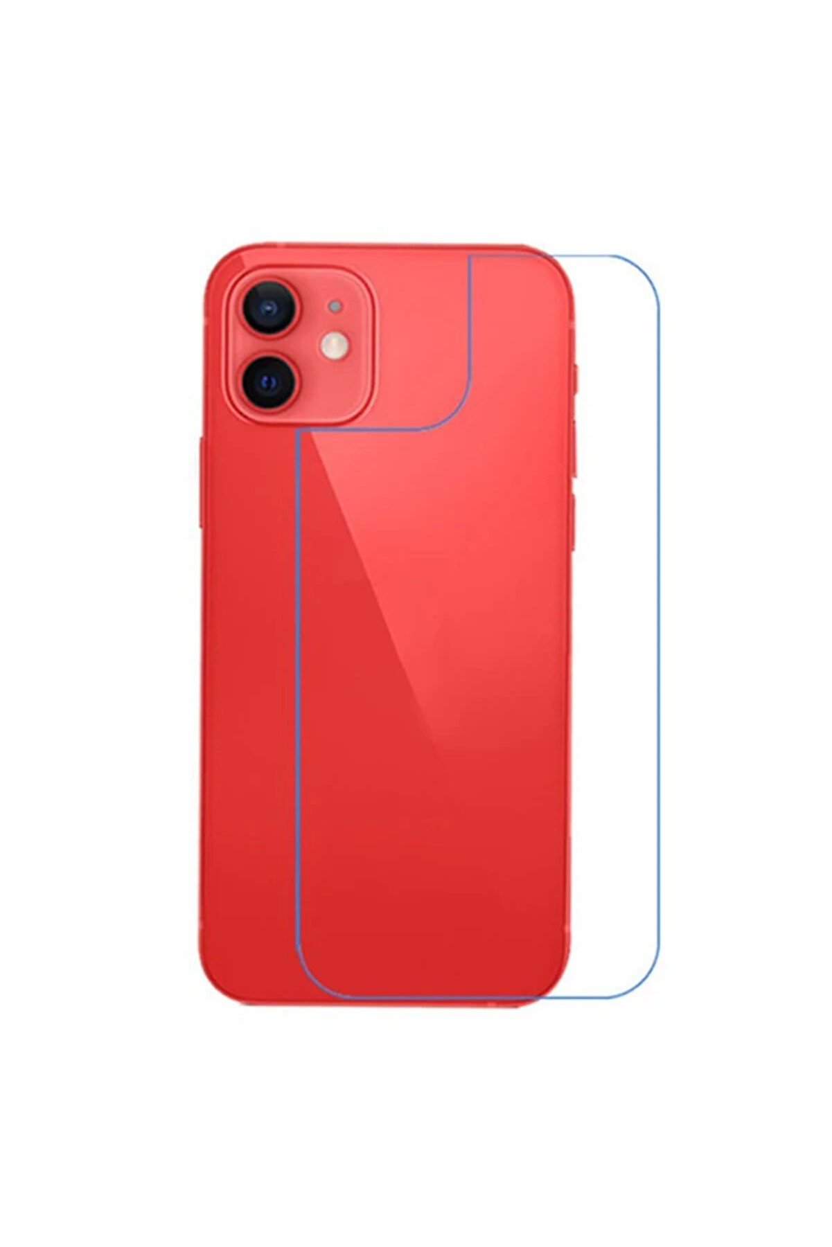 CepteToptan Ally İPhone 12 Mini 5.4 İnch Tempered Arka Kırılmaz Cam Koruyucu-(1903) - DROPX8903-6778