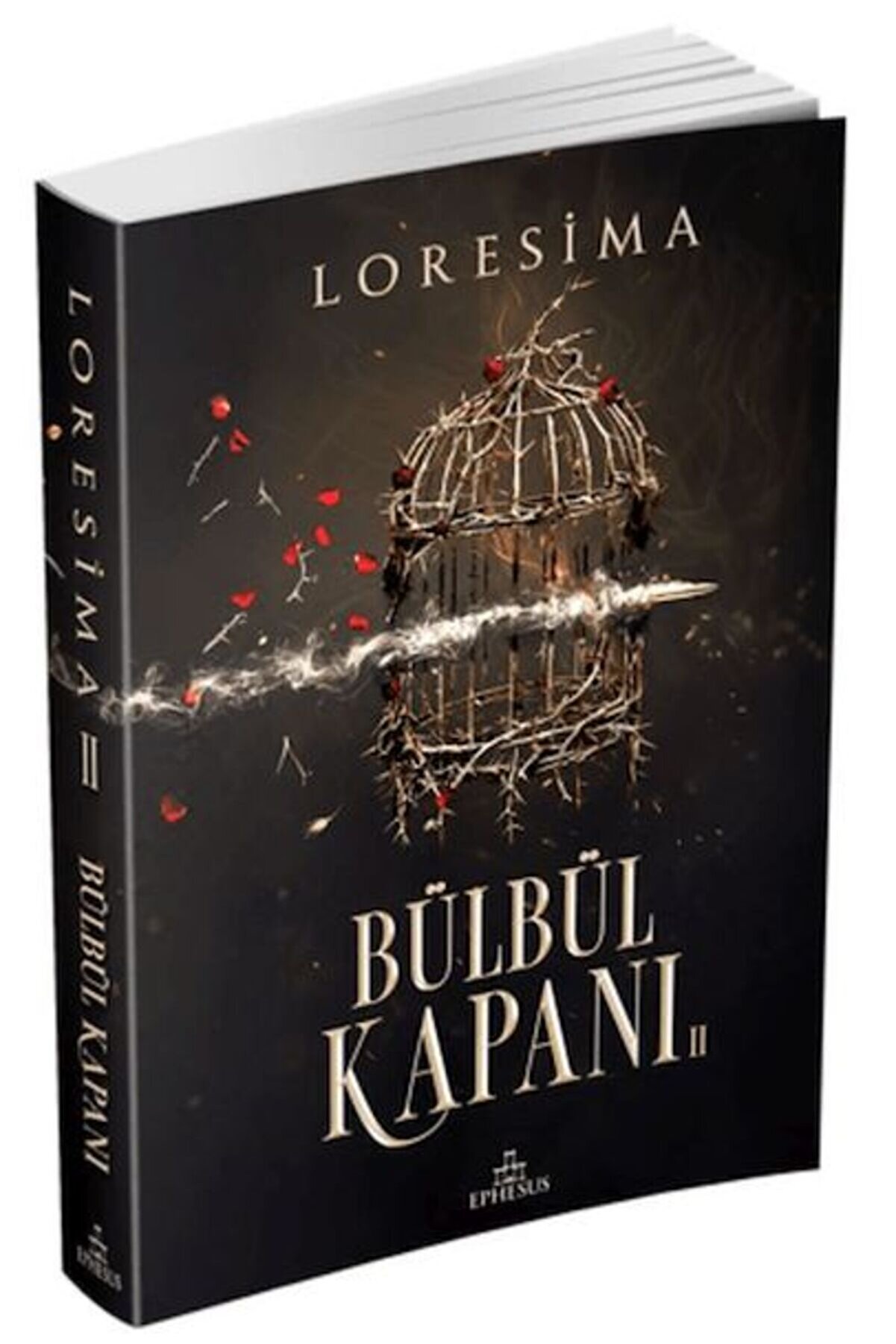 Karatay Yayınları B&uuml;lb&uuml;l Kapanı 2