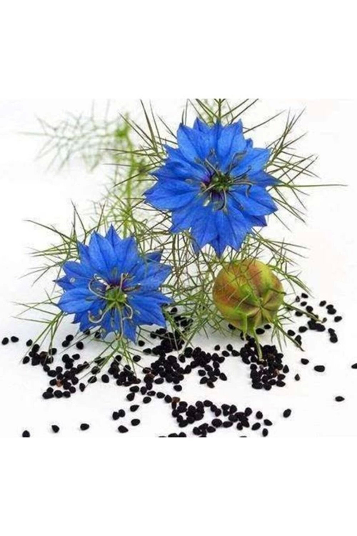 Tekno Trust Kavanoz Çörek Otu Kremi̇ 2 Adet 100 Ml