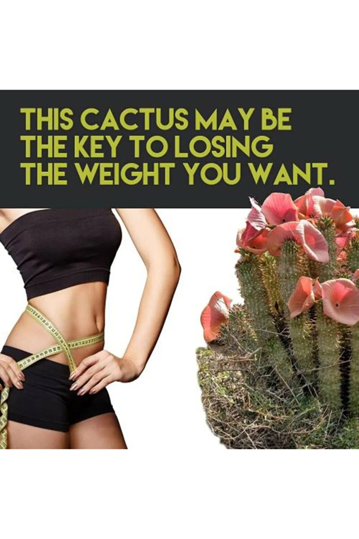 Hoodi̇a Sıkılaştırıcı Ve Jel 150 Ml / Hoodi̇a Fi̇rmi̇ng Sli̇mmi̇ng Gel 150 Ml