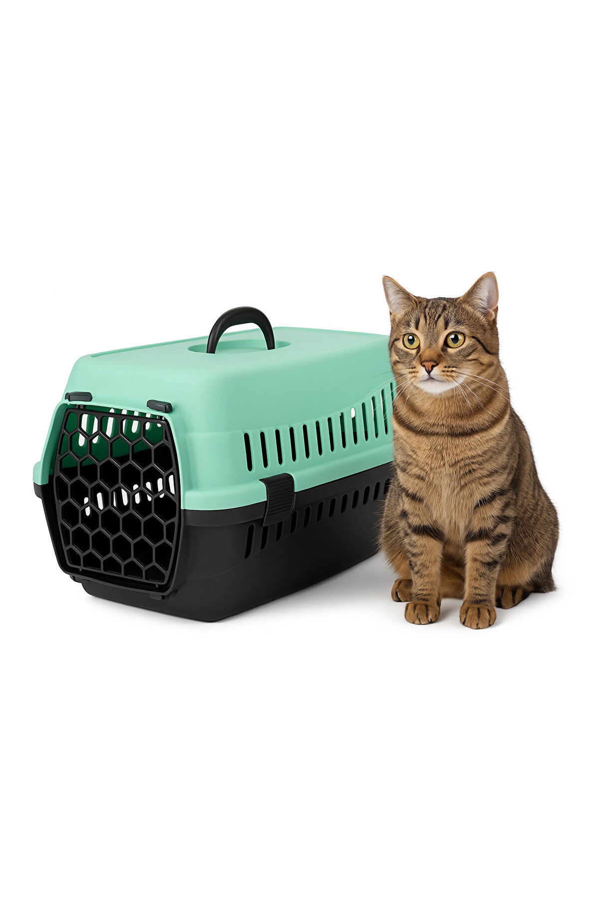 Kedi̇ Ve Köpek Taşıma Çantası – Orta Boy, Dayanıklı Plasti̇k, Hava Deli̇kli̇ Kapak, Mi̇nt-Si̇yah