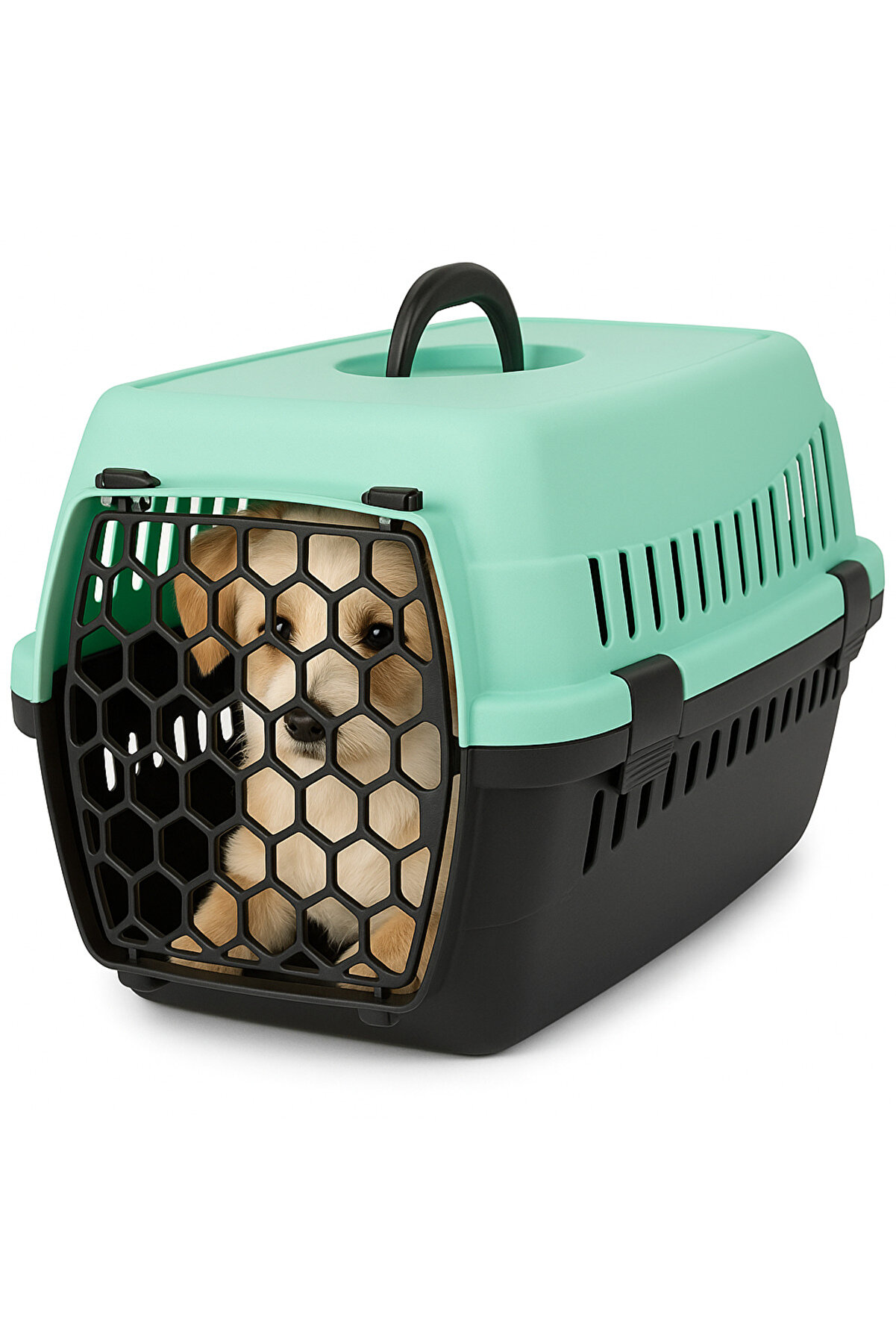 Kedi̇ Ve Köpek Taşıma Çantası – Orta Boy, Dayanıklı Plasti̇k, Hava Deli̇kli̇ Kapak, Mi̇nt-Si̇yah