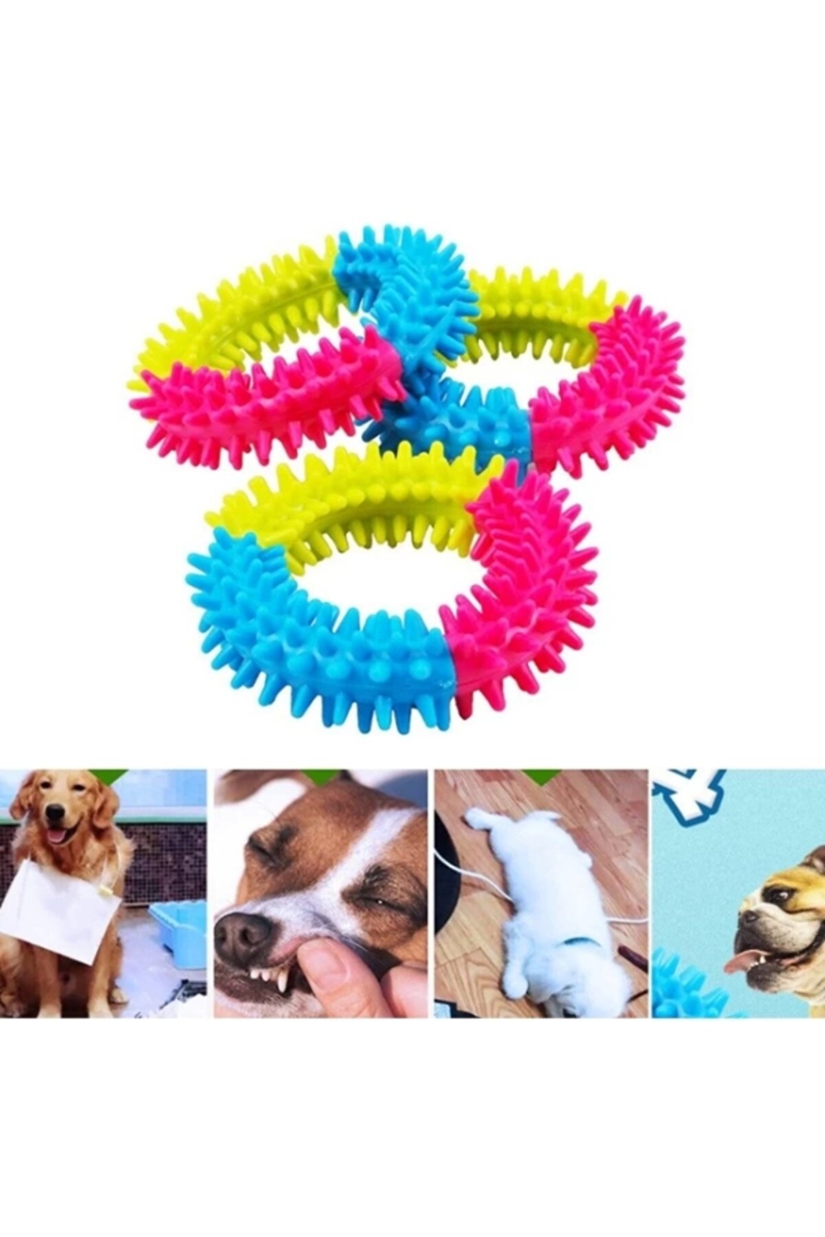 Köpek Isırma Di̇ş Kaşıma Çemberi̇