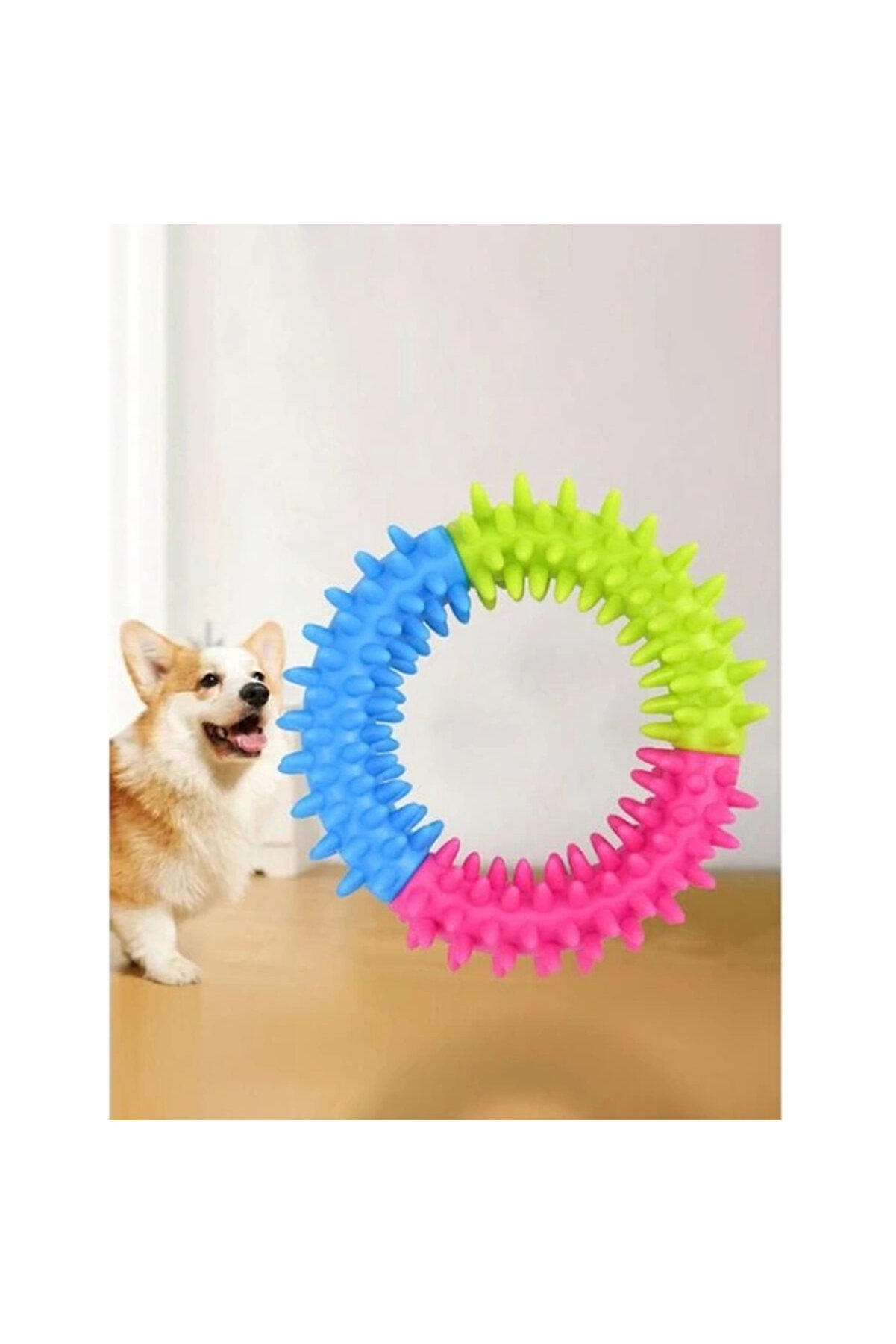 Köpek Isırma Di̇ş Kaşıma Çemberi̇