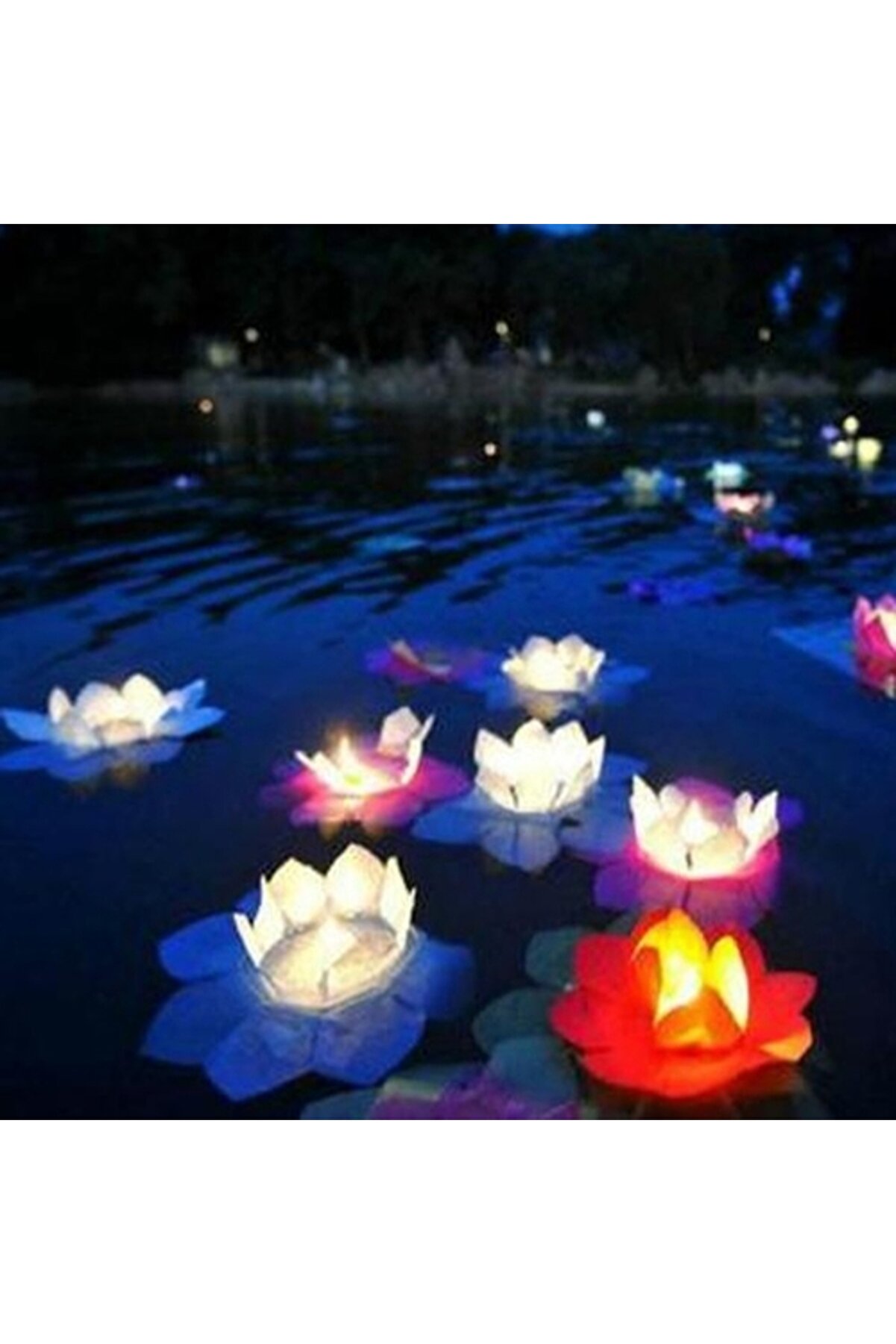 karadağsb Nilüfer Su Feneri