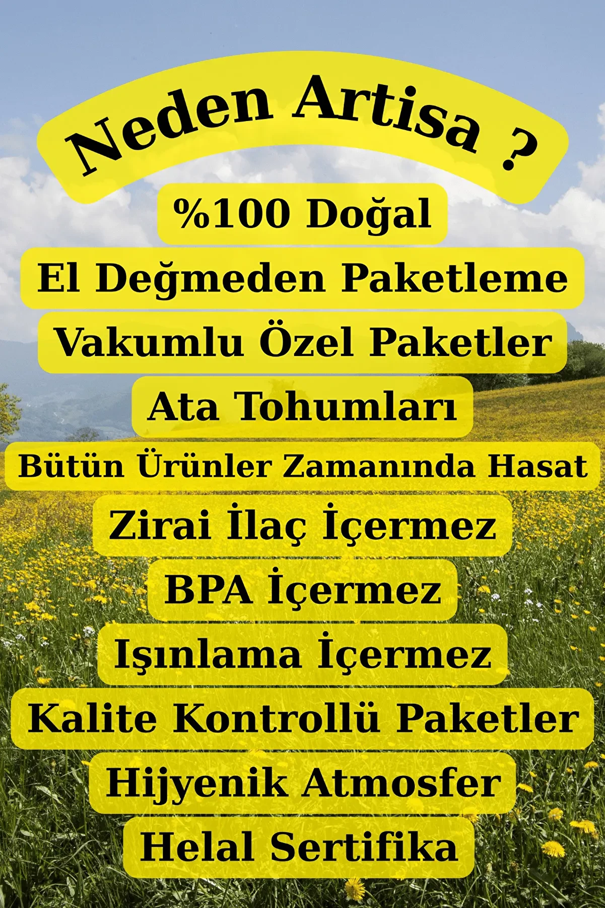 Akgünlük Sakızı Sığla Ağacı Reçi̇ne Günlük Bi̇tki̇si̇ %100 Doğal Bahur 100 Gr