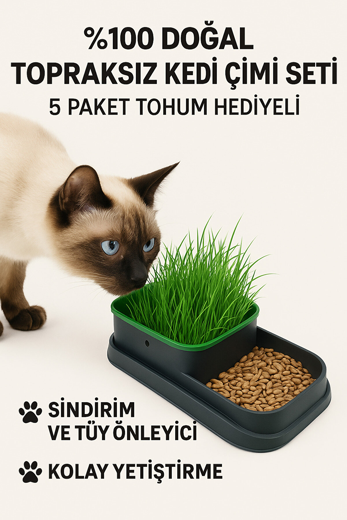 TRENDMEN %100 Doğal Topraksız Kedi Çimi Seti 5 Paket Tohum Hediyeli, Sindirim ve Tüy Önleyici,Kolay Yetiştir