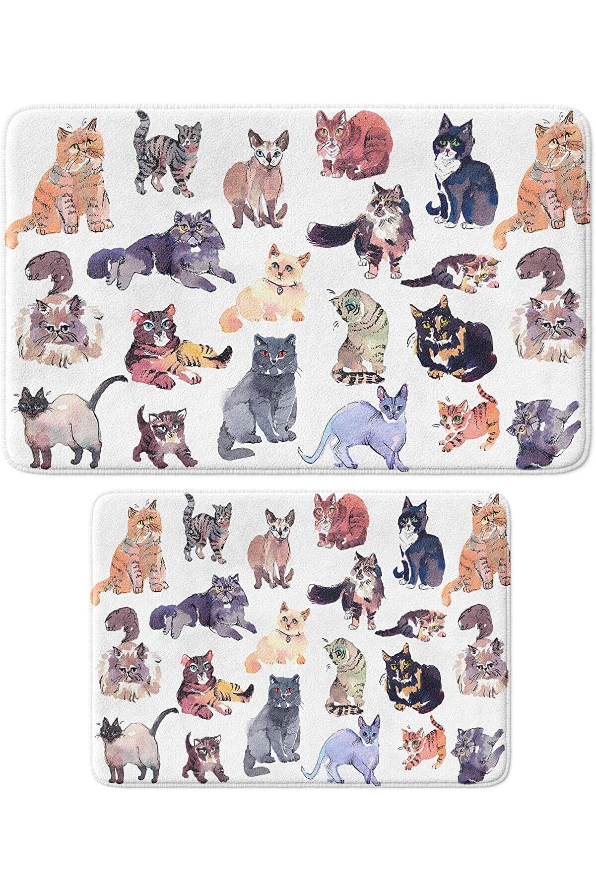 STOREMAX modaburst Sevimli Tasarımlı Mikrofiber Paspası, Kaymaz Taban, Yıkanabilir (380_BPSM, 2'li Takım 40x6