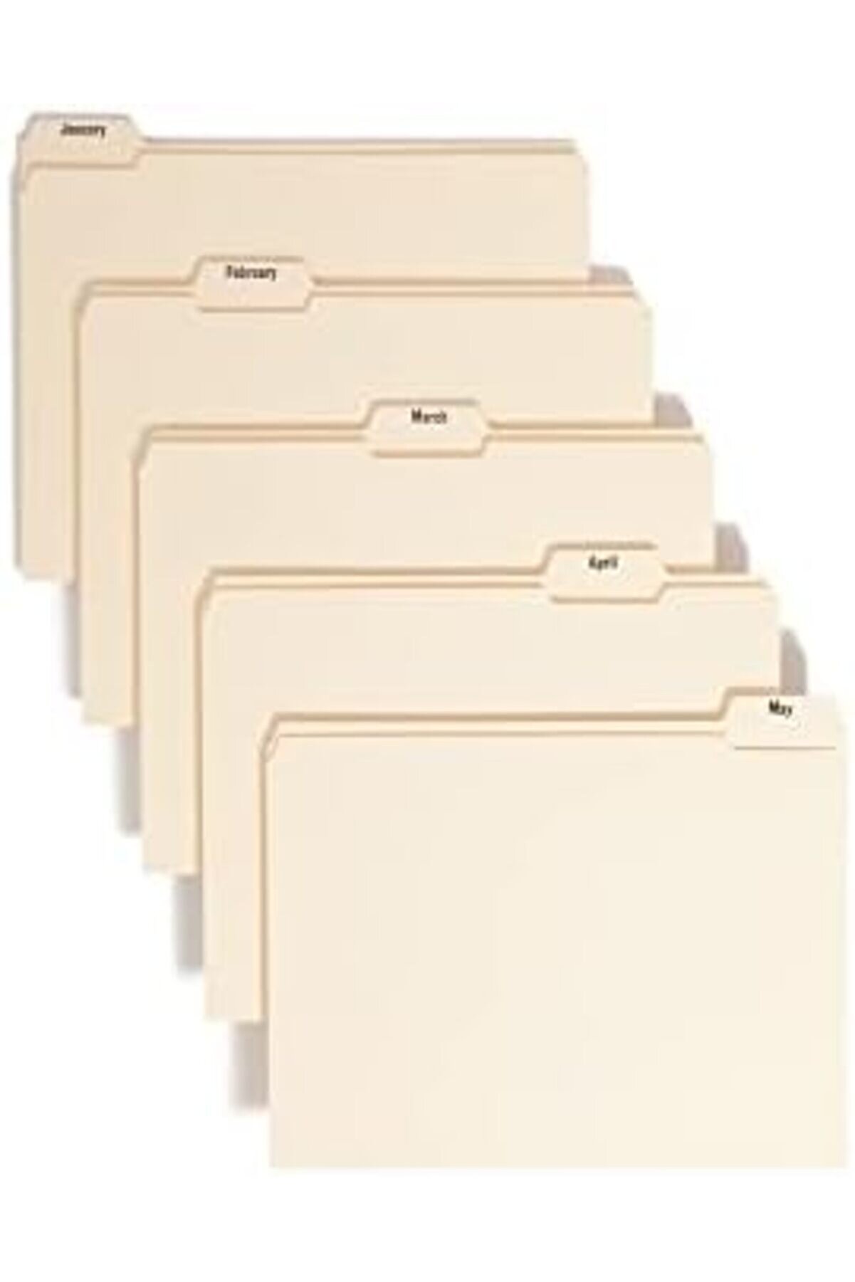 Vegashop Indi̇zi̇ert Dosya Düzenleyi̇ci̇ Set, Aylık (Jan-Aralık) Klasör, Güçlendi̇ri̇lmi̇ş 1/5-Cut T