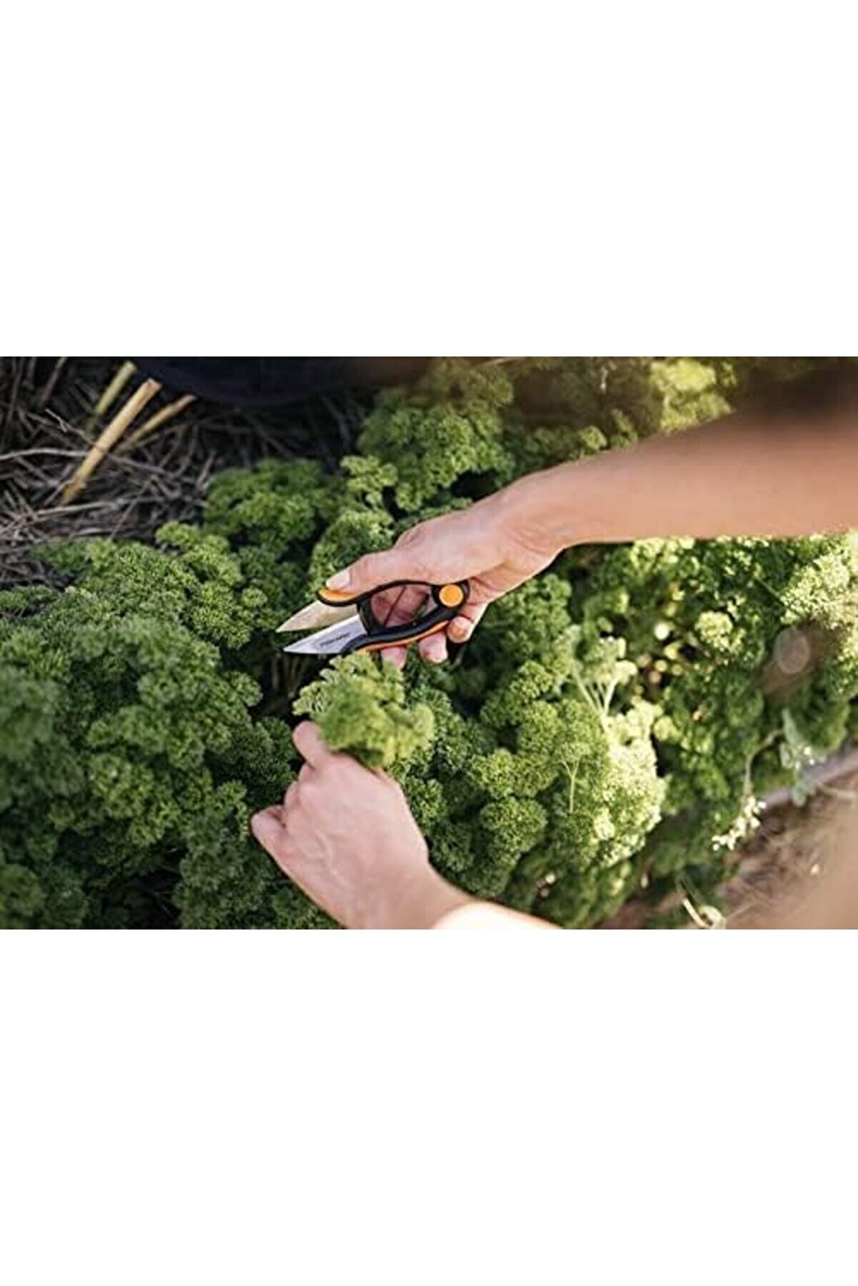 Snshop Ot Makası, Uzunluk 12,9 Cm, Paslanmaz Çeli̇k Bıçaklar/Plasti̇k Saplar, Si̇yah/Turuncu, Düz