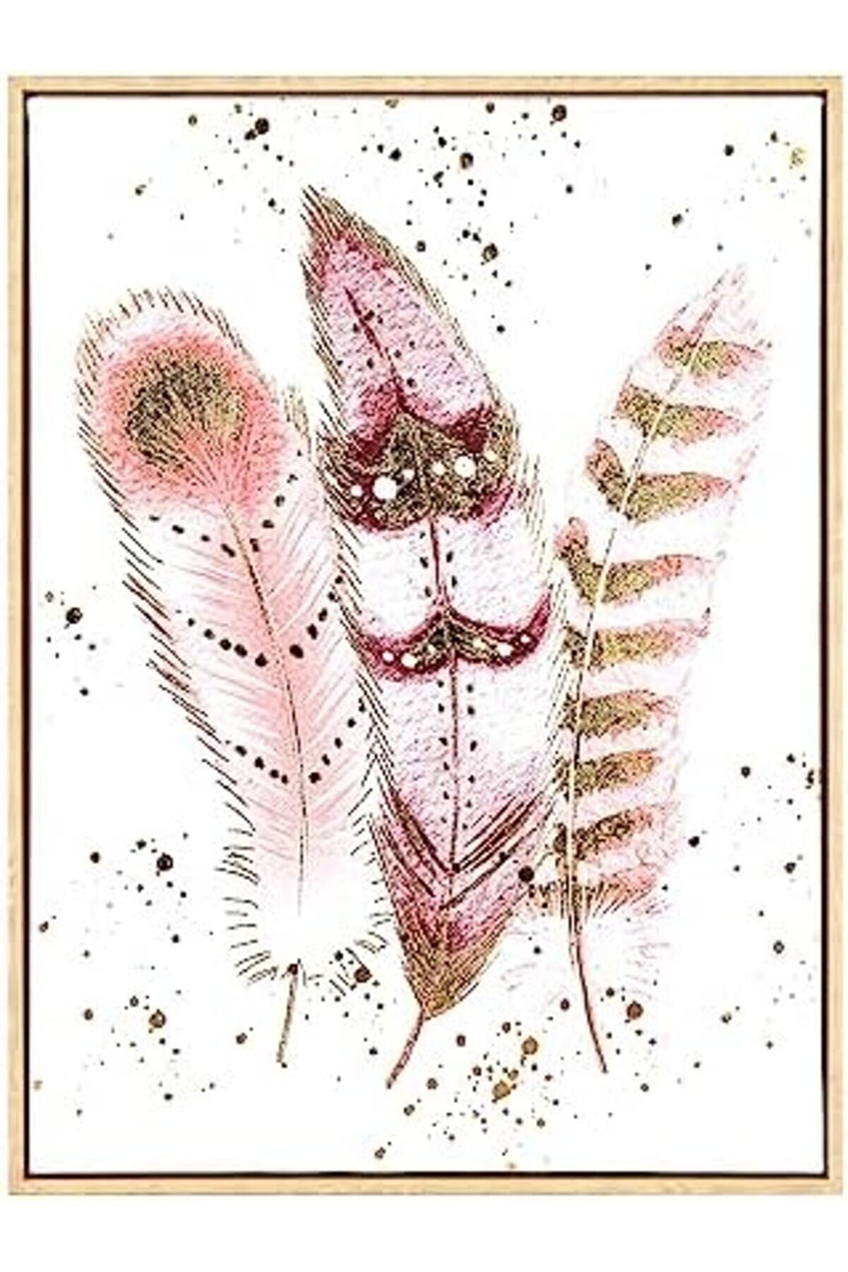 Lvnshop Ahşap Çerçeveli̇ Kabartmalı Kuş Tüyü Fi̇gürlü Kanvas Tablo Somon- 45X2,5X60 Cm. 224120