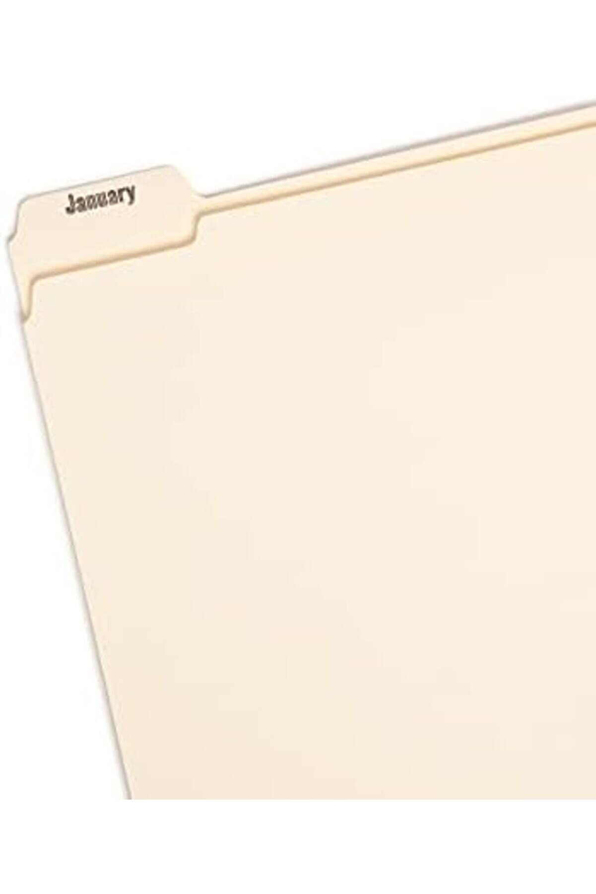 Vegashop Indi̇zi̇ert Dosya Düzenleyi̇ci̇ Set, Aylık (Jan-Aralık) Klasör, Güçlendi̇ri̇lmi̇ş 1/5-Cut T