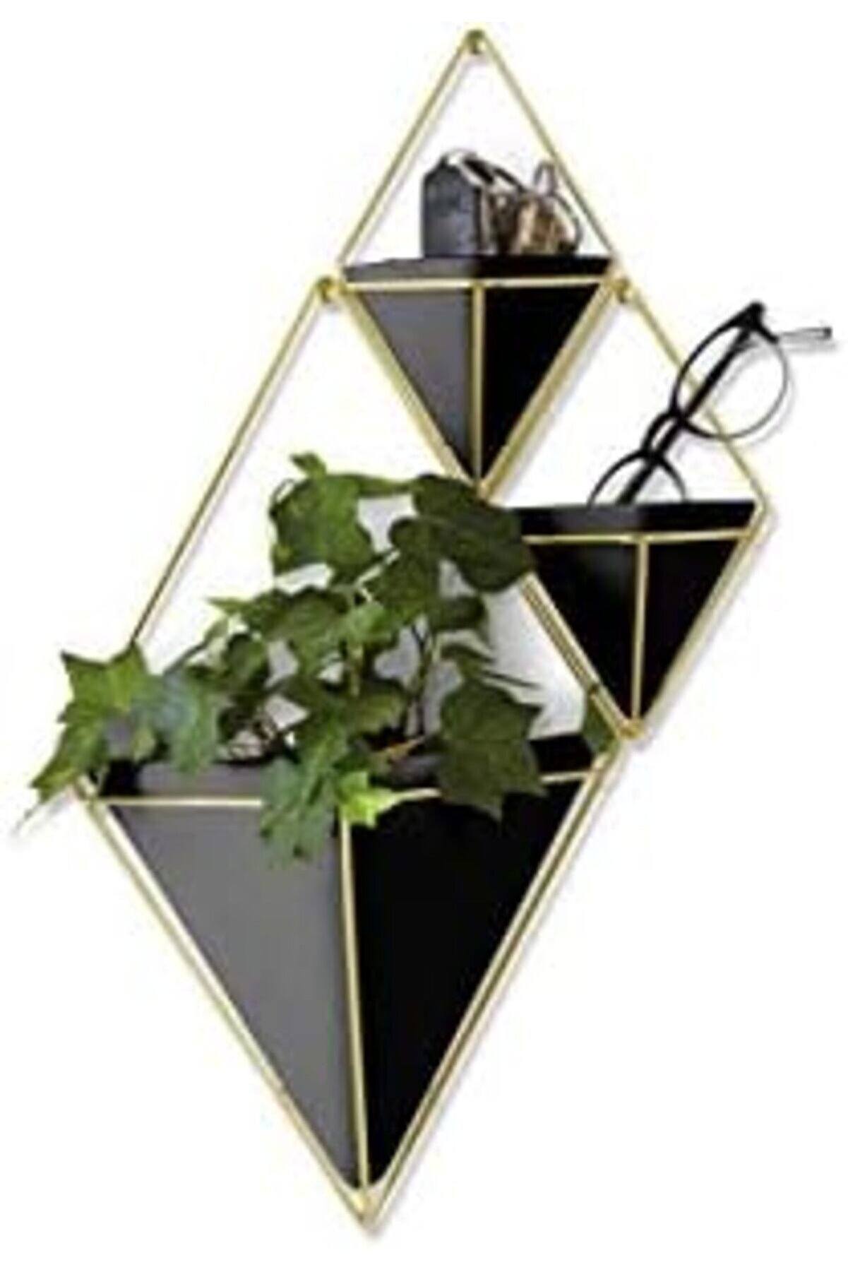 Oskyshopc Tri̇gg Duvar Ve Geometri̇k Dekoasyon, Oda Bi̇tki̇leri̇, Sukulentler, Hava Bi̇tki̇leri̇, Kaktüs, Ya