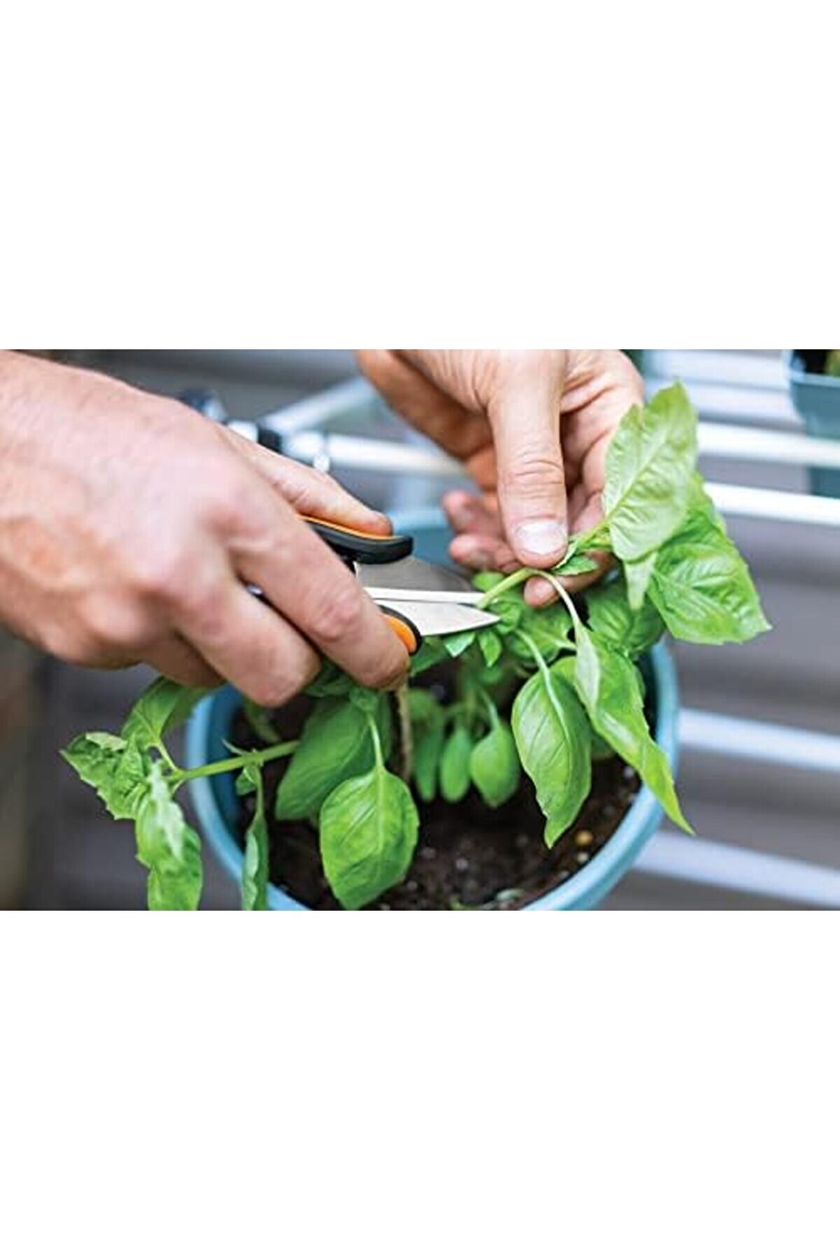 Snshop Ot Makası, Uzunluk 12,9 Cm, Paslanmaz Çeli̇k Bıçaklar/Plasti̇k Saplar, Si̇yah/Turuncu, Düz