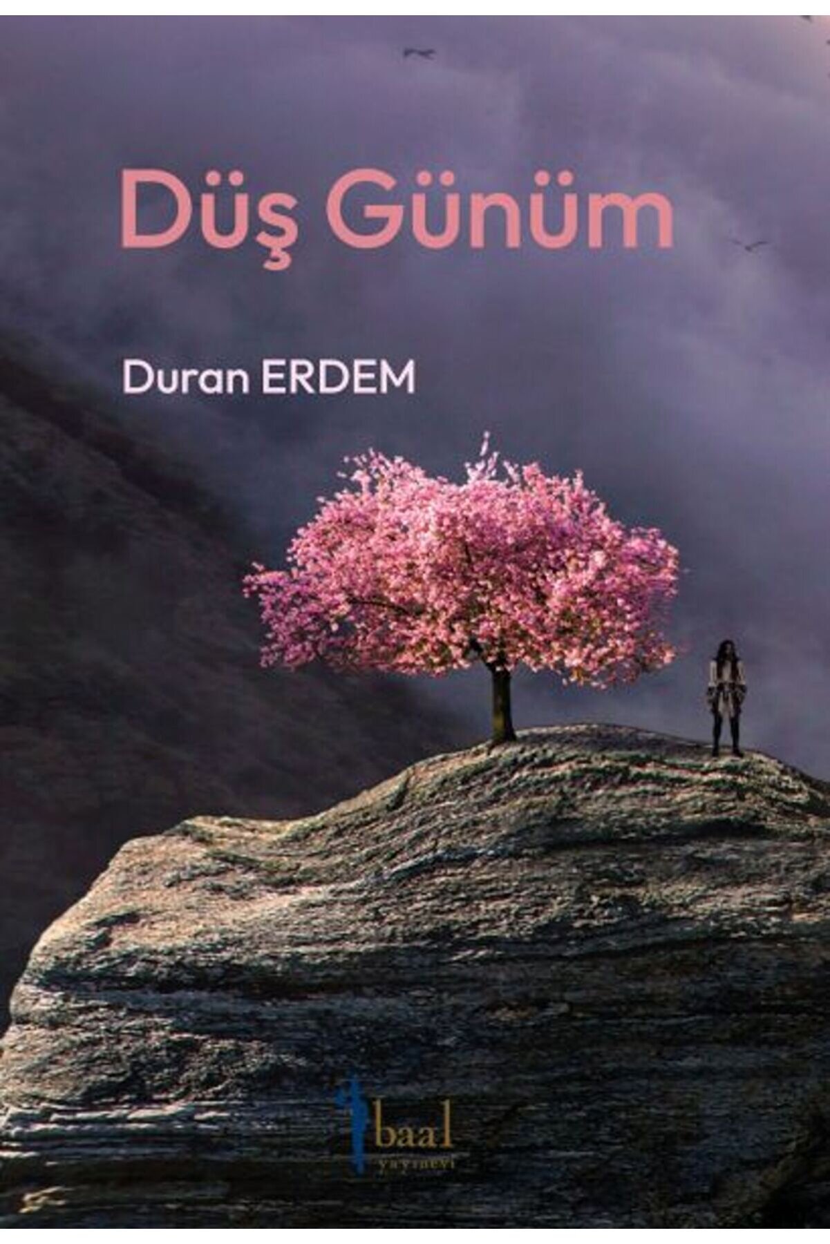 Yedi̇tepe Yayınevi̇ D&uuml;ş G&uuml;n&uuml;m