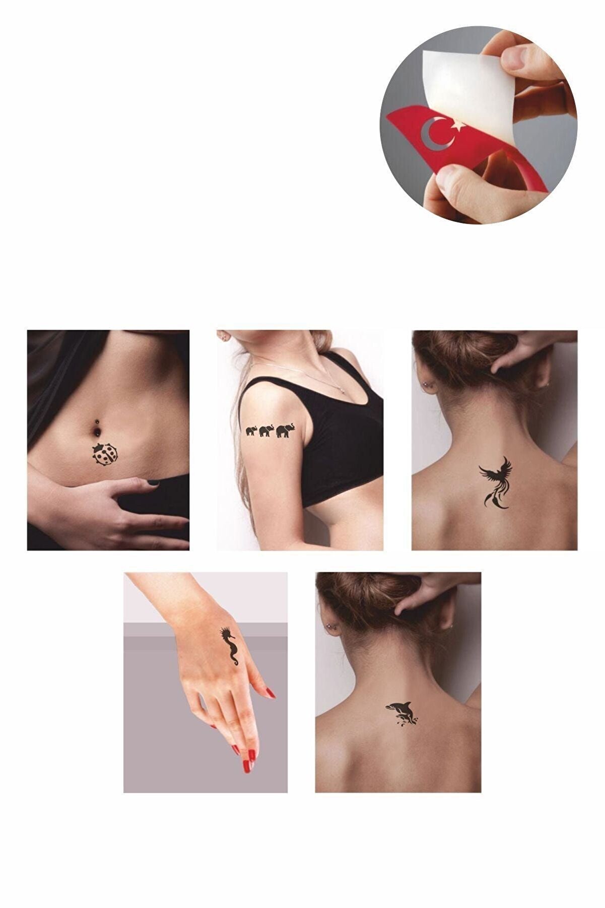 Ai̇rbrush Tattoo Sevi̇mli̇ Hayvanlar Hi̇nt Kınası Ile Geçi̇ci̇ Dövme Yapma Seti̇