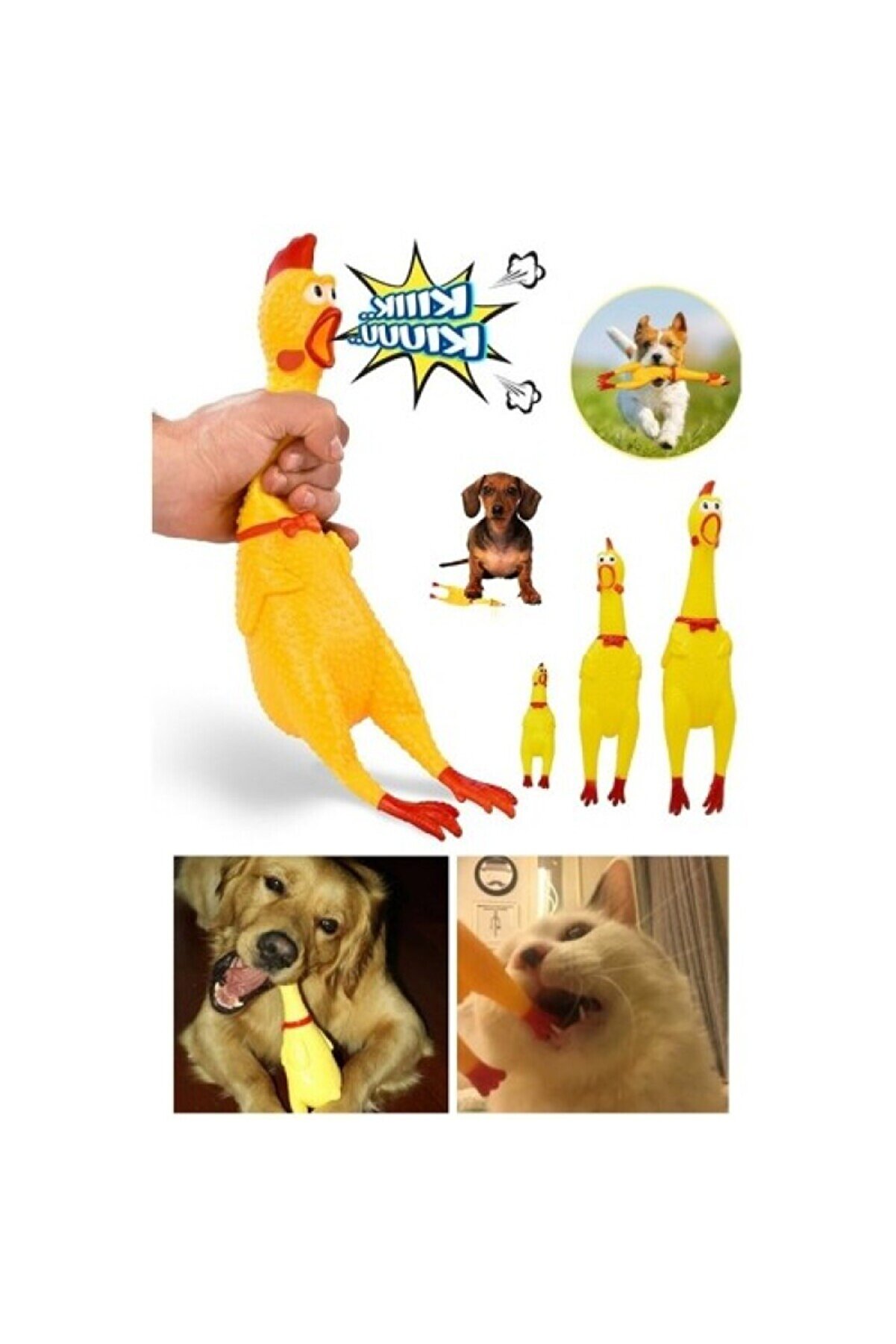 Köpek Oyuncak Seti̇ – Dayanıklı Çi̇ğneme, Sesli̇ Ve Di̇ş Sağlığına Uygun 4’Lü Paket