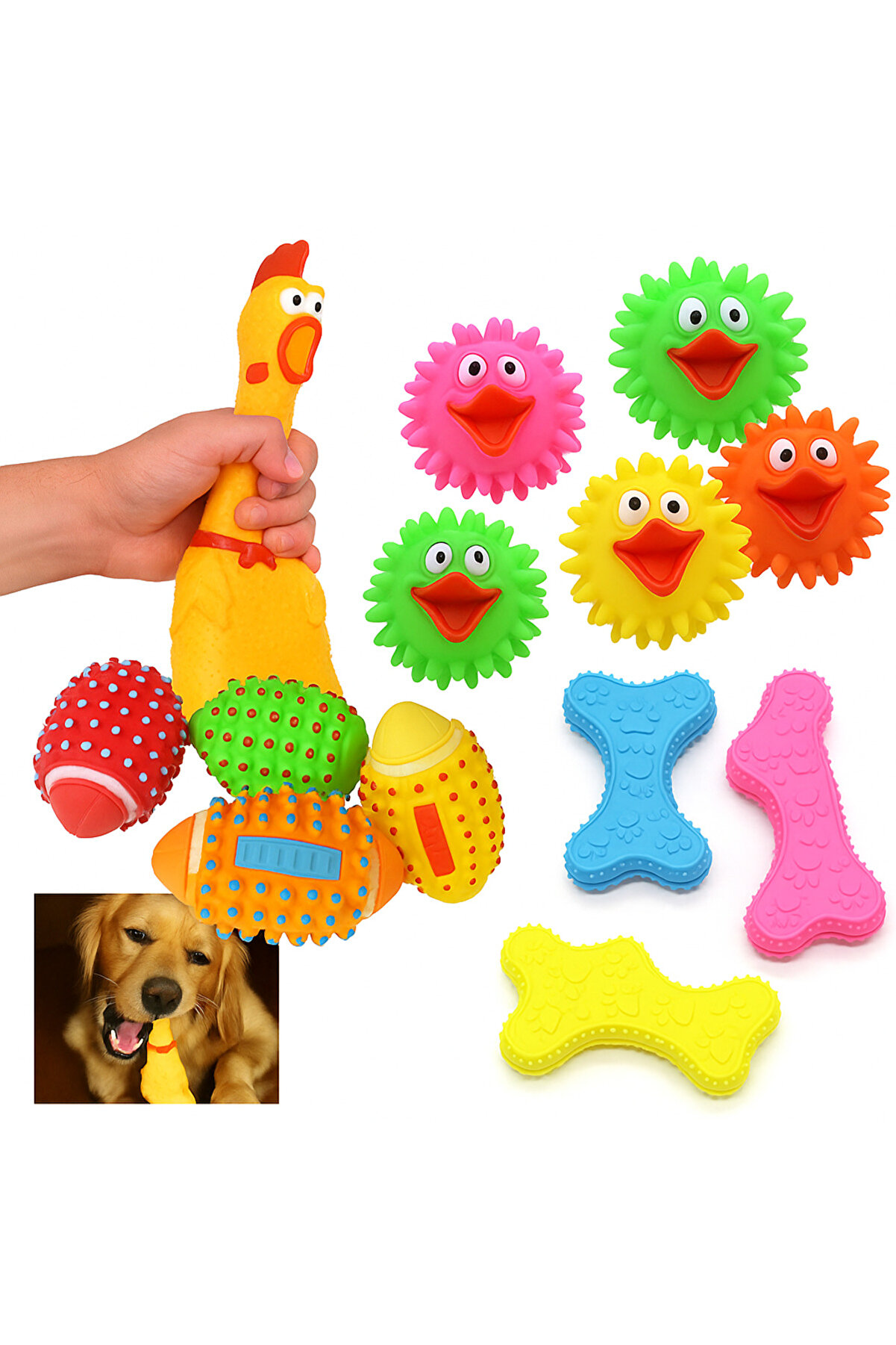 TRENDMEN Köpek Oyuncak Seti – Dayanıklı Çiğneme, Sesli ve Diş Sağlığına Uygun 4’lü Paket
