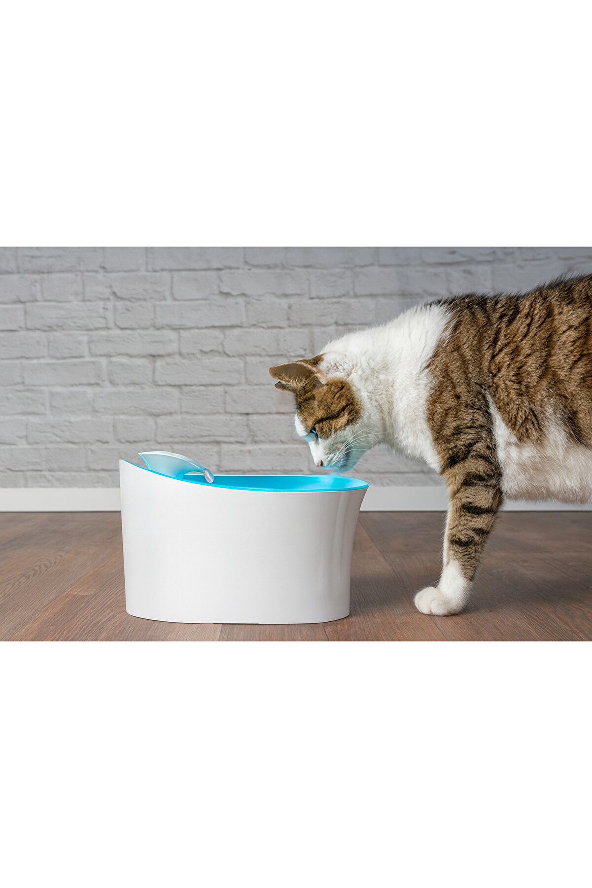 Otomati̇k Kedi̇ Köpek Suluğu 2.5L – Led Uyarılı, Sessi̇z Motor, Karbon Fi̇ltreli̇