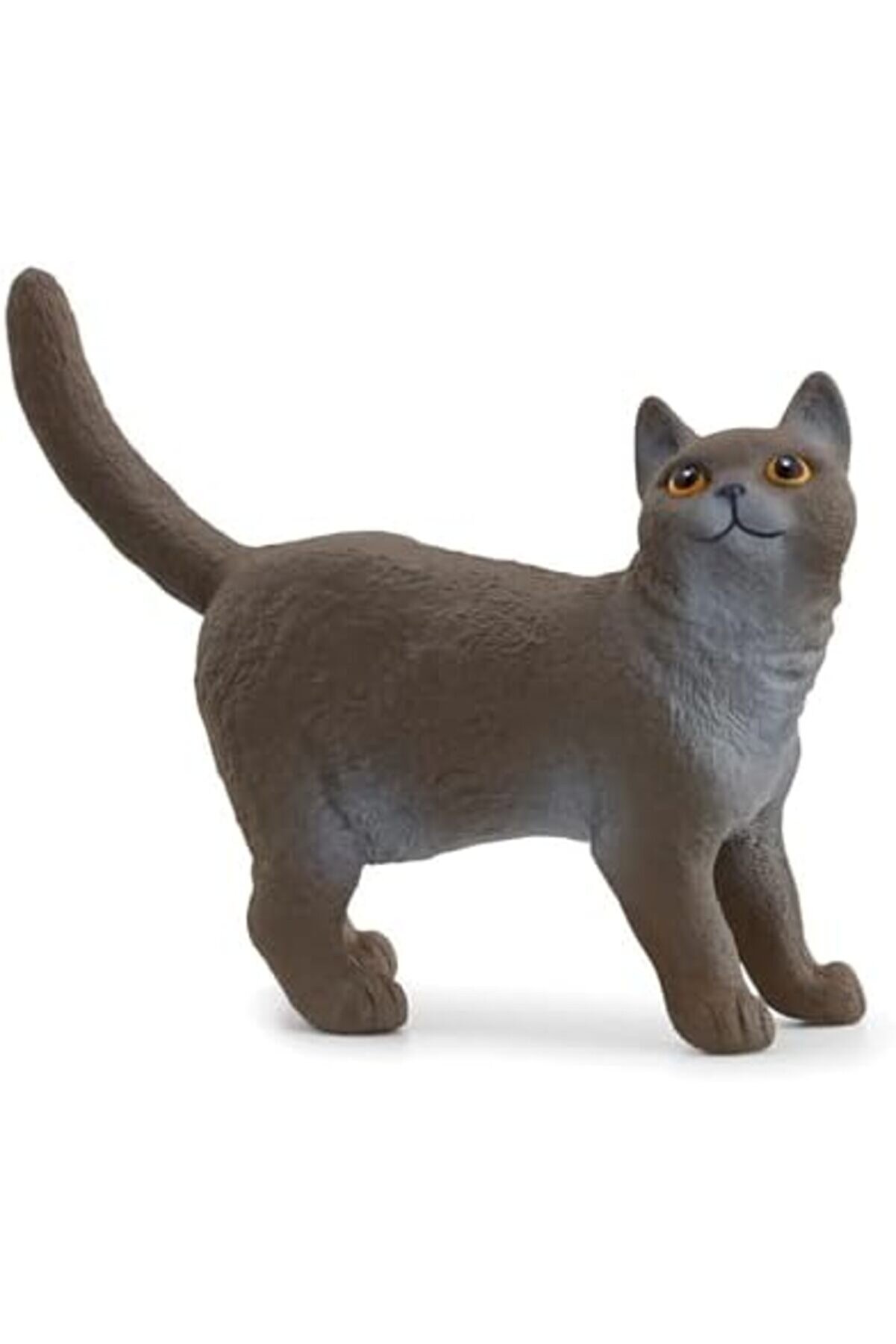 Modashi̇ne Bri̇ti̇sh Shorthai̇r Kedi̇, Oyuncak Fi̇gür Modascope 1014773