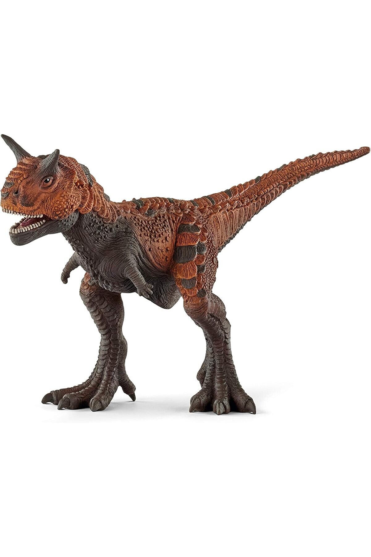 STOREMAX modashine -Dinosaurs-Carnotaurus modascope 1014773