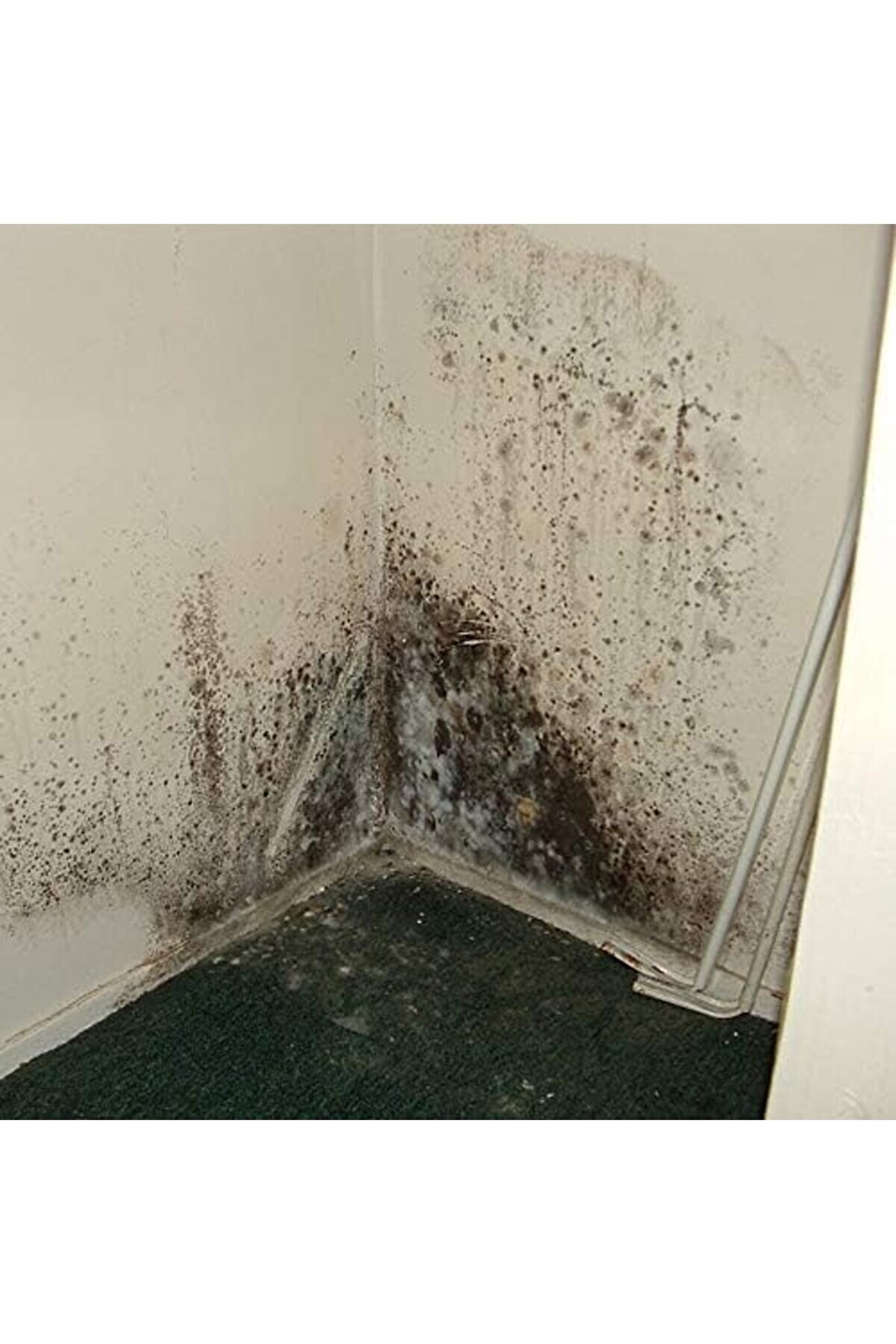 Modashi̇ne Flora Nem Alıcı 450 G 5 Li̇ Paket Modascope 1014773