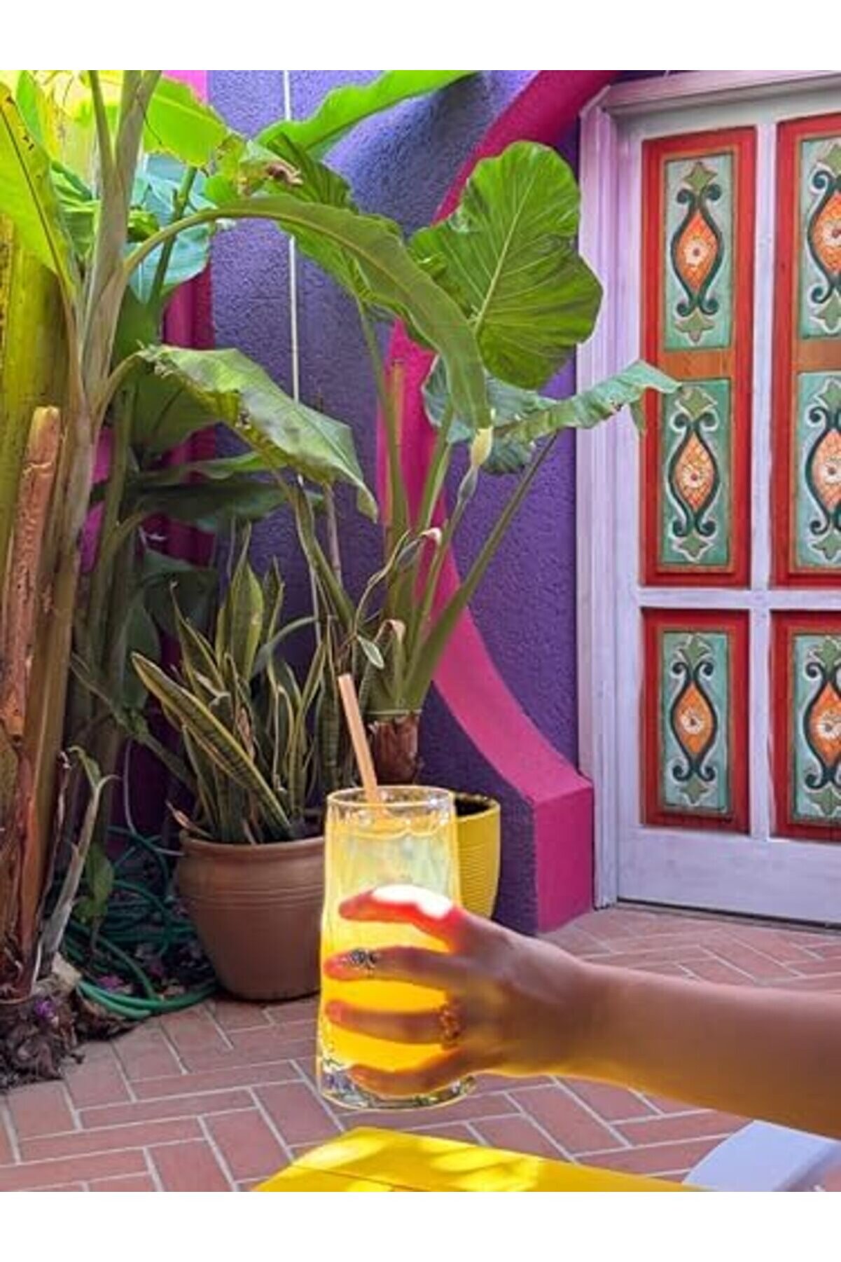 - Şeker Kamışı Pi̇pet (6 * 200, Adet, 20) 1014773