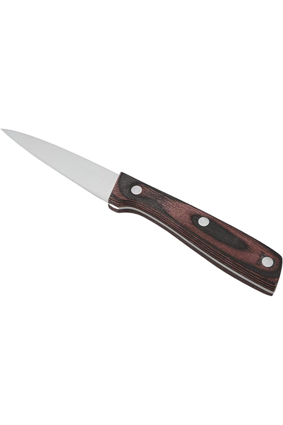 STOREMAX modashine Orkestra Kahve Soyma Bıçağı 19 cm, Tekli modascope 1014773