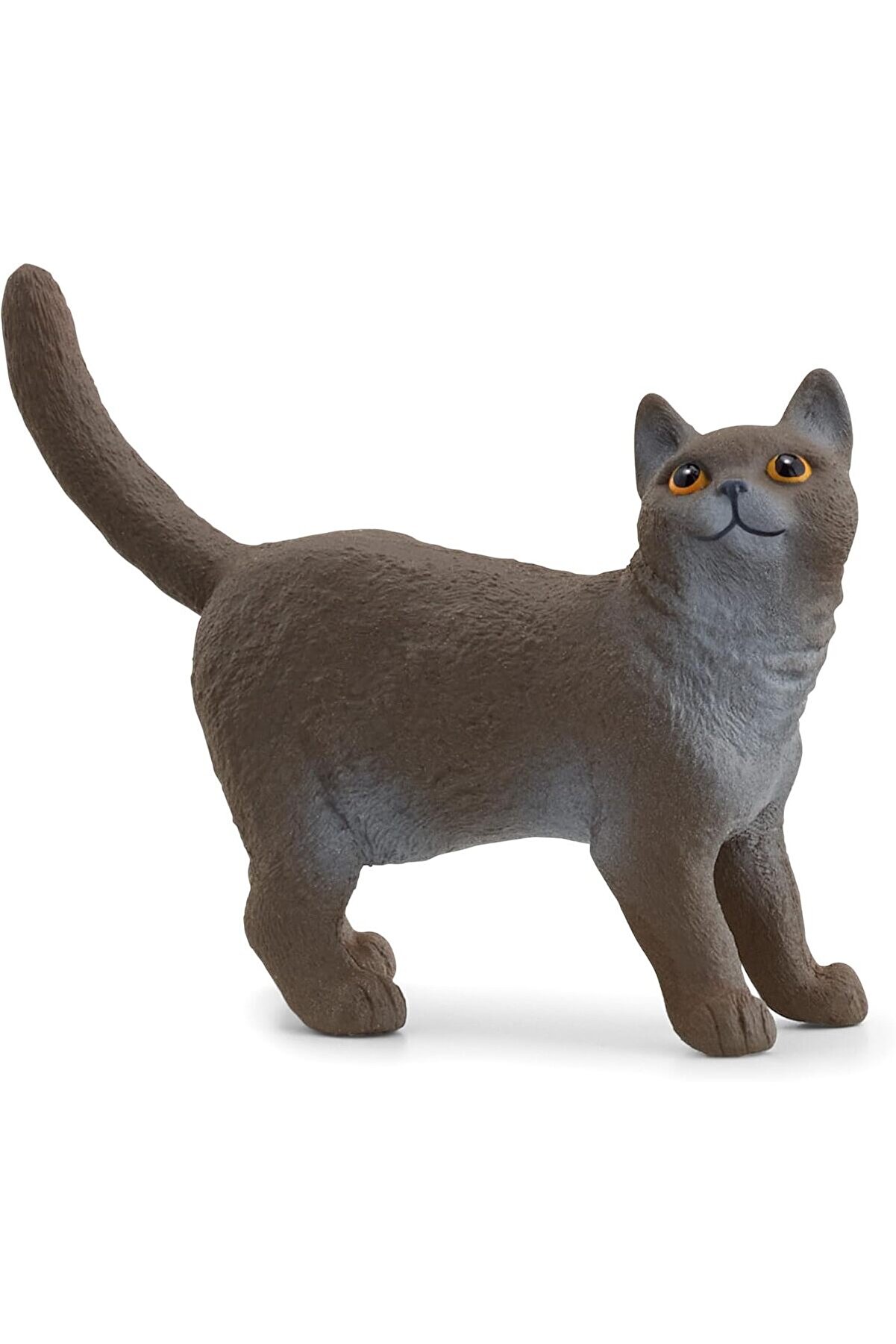 STOREMAX modashine British Shorthair Kedi, Oyuncak Figür modascope 1014773